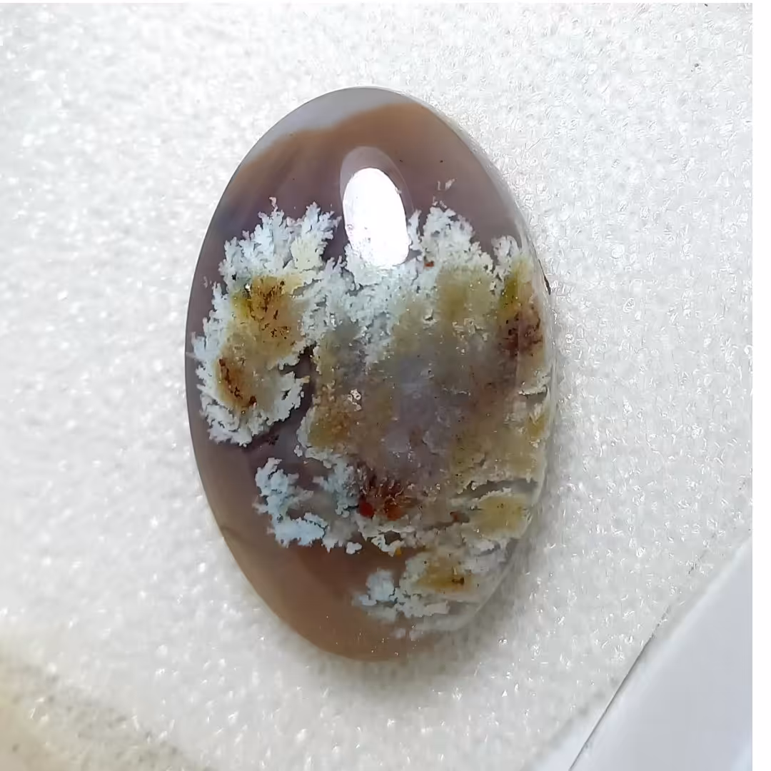  عقیق شجر بوته ای قائن 