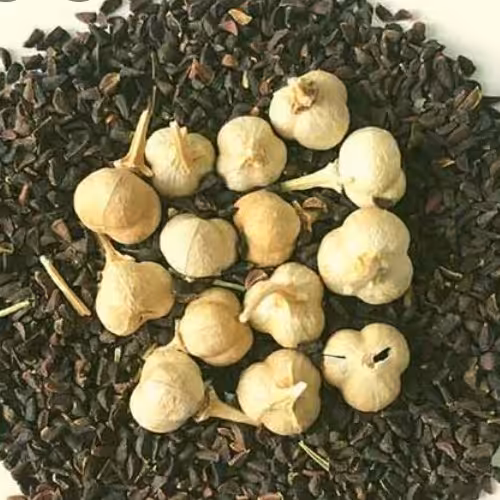 اسپند ممتاز فدک (250گرم)