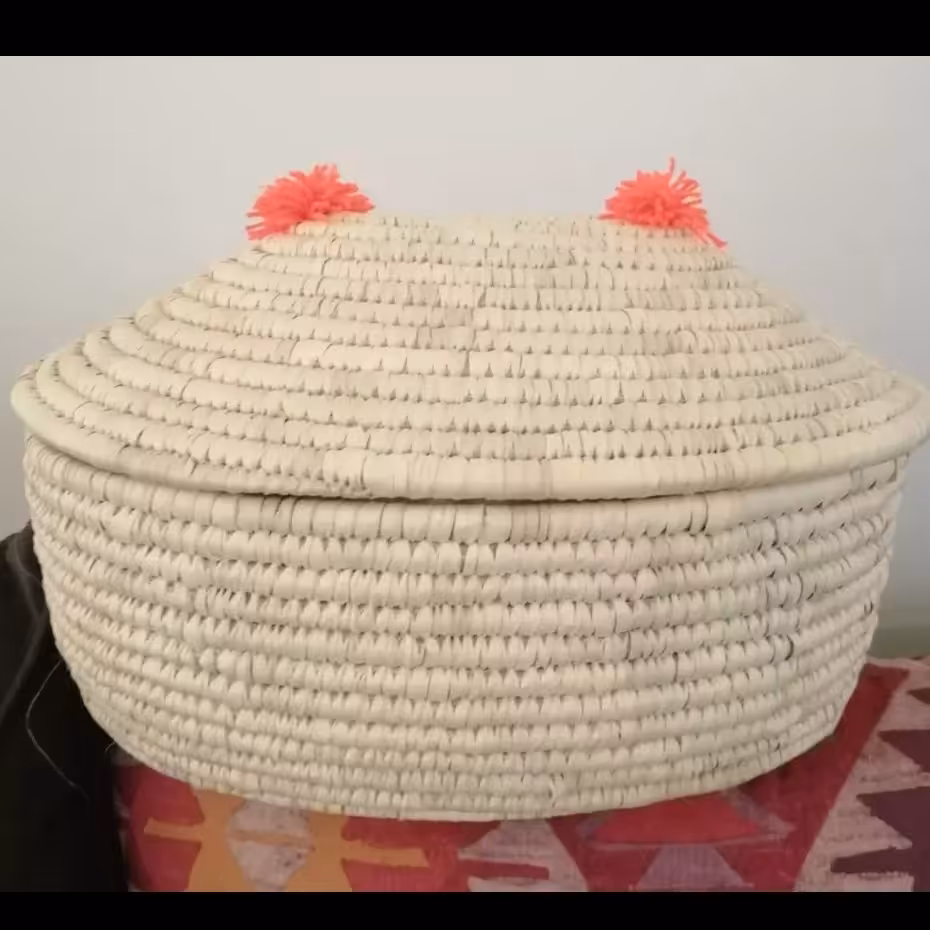 جانونی حصیری 08