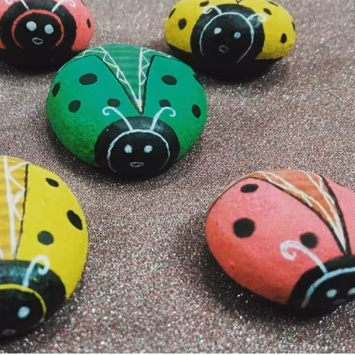 کفشدوزک های سنگی مگنت