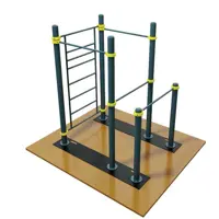 سازه کلیستنیکس مخصوص فضای سرپوشیده PSD-ICSW-03