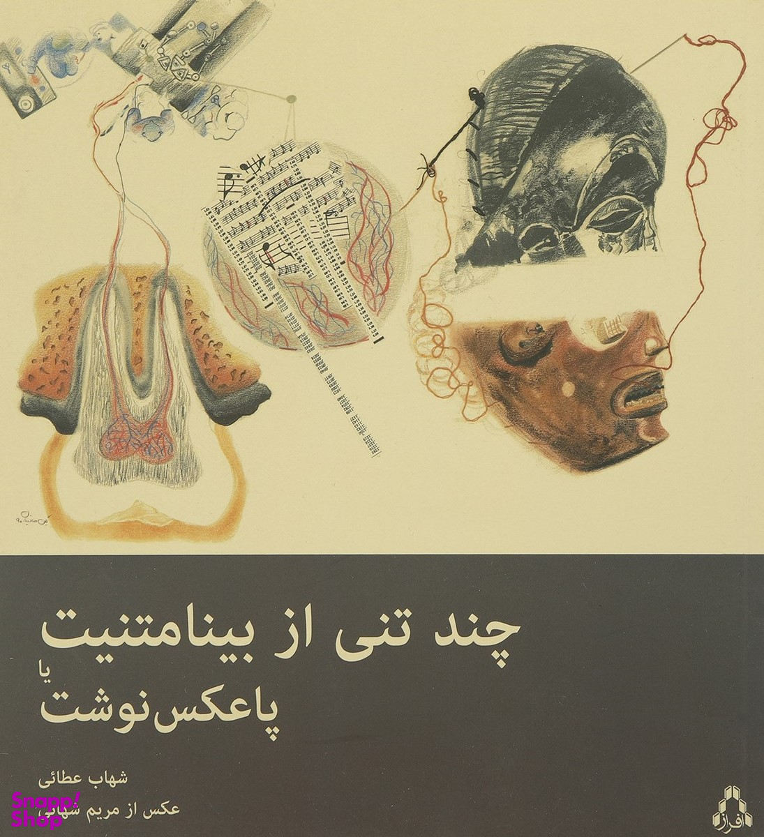 چند تنی از بینامتنیت یا پاعکس نوشت