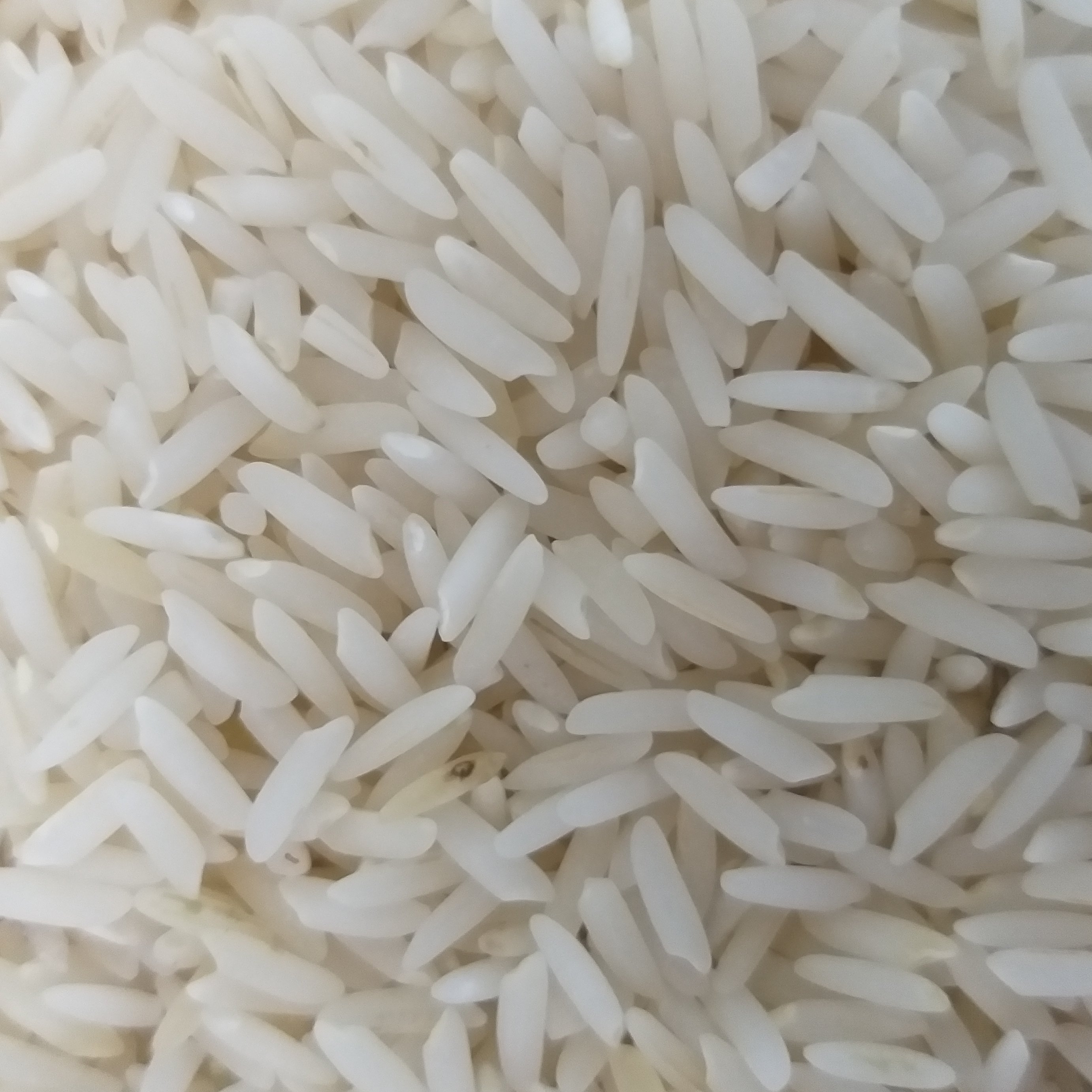 برنج هاشمی