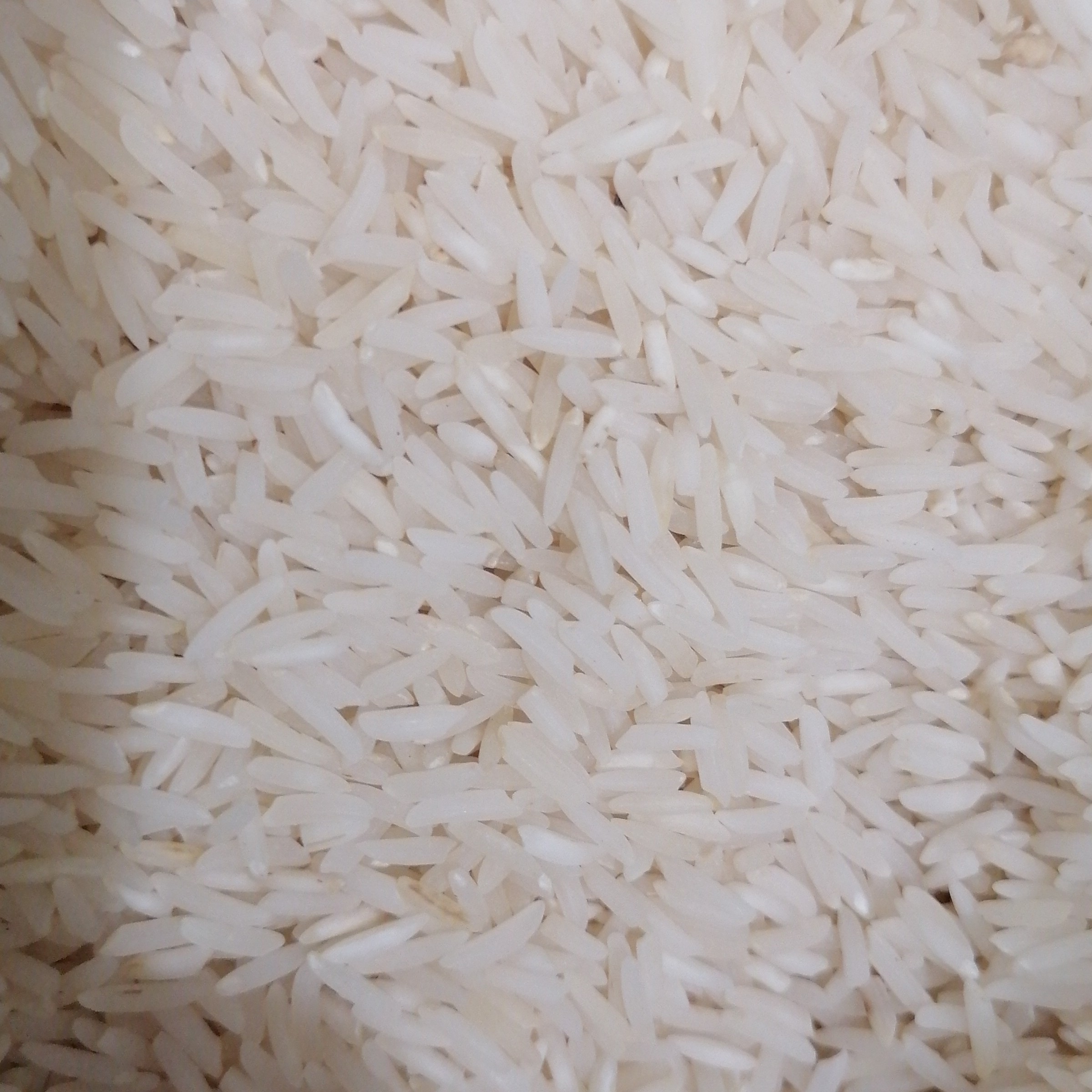 برنج محلی حسن سرا