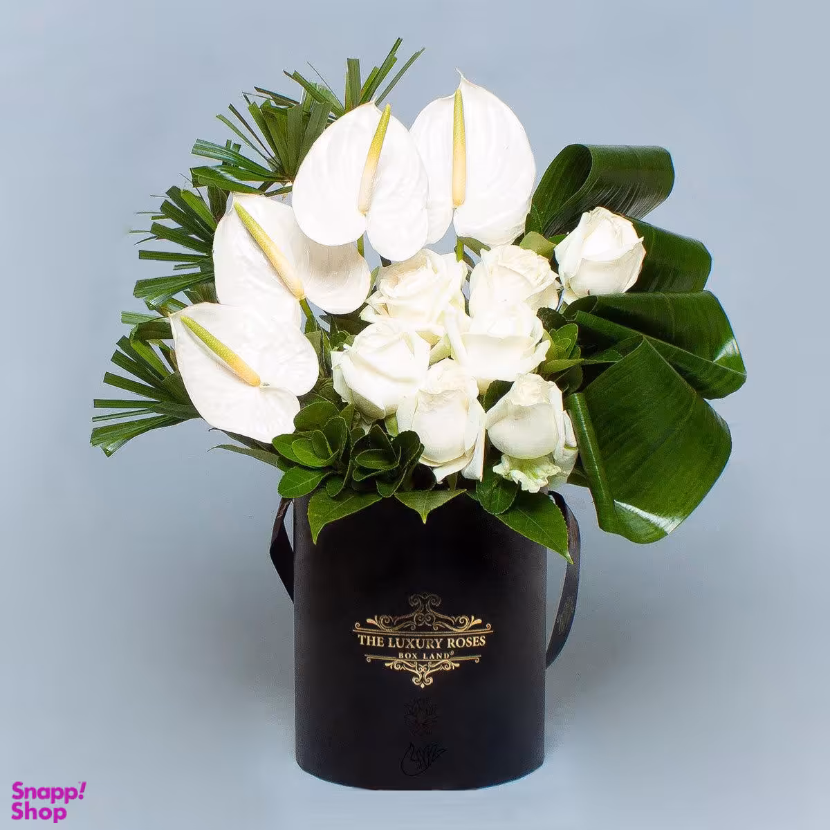 باکس دل یار