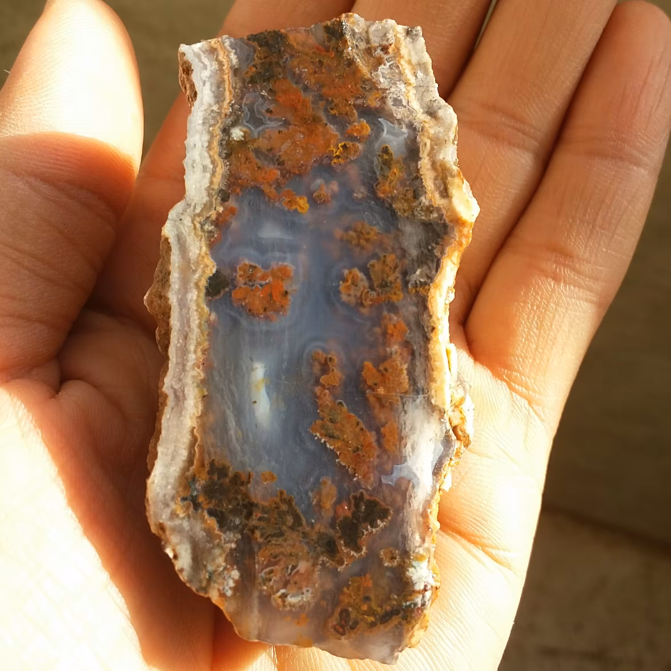 اسلایس سنگ راف شجر دریایی 7رنگ خارق العاده شاهکار خلقت 100 در 100 طبیعی 
شاهکار شاهکار شاهکار خلقت
تابلو نقاشی طبیعی 