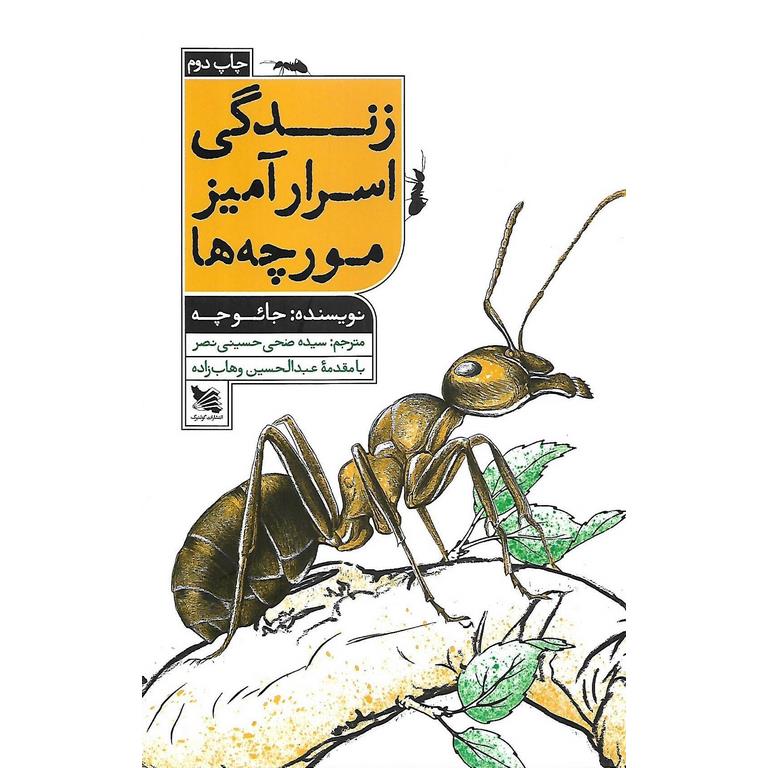 زندگی اسرار آمیز مورچه ها