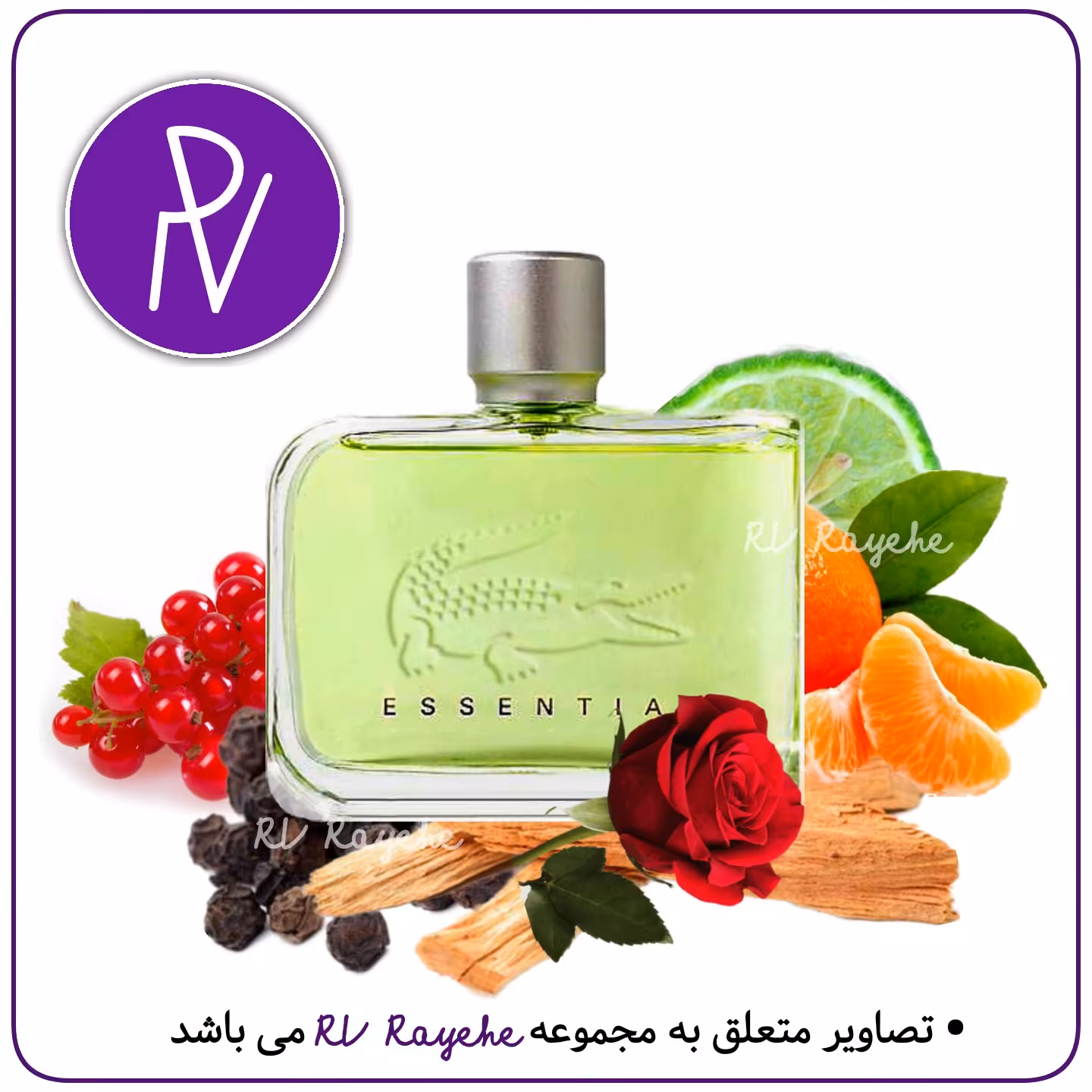 عطر لاگوست اسنشیال  1 میل (خنک تلخ چوبی ) سویسی  فرانسوی -عطر مشهد آنلاین شاپ آروی رایحه  RVrayehe  ادکلن لاگوست سبز