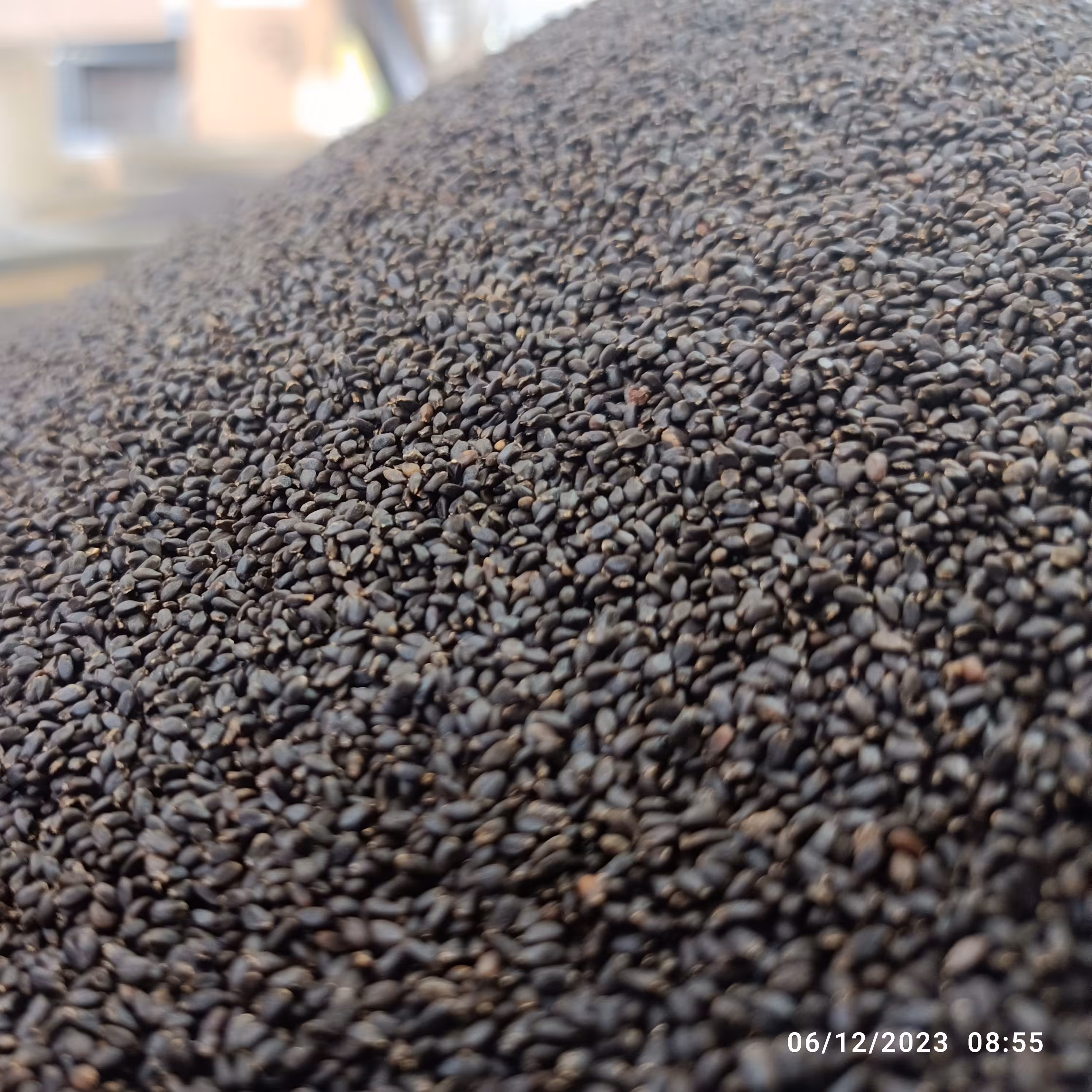 تخم شربتی درجه یک و اعلا تمیز و سورت شده وارداتی (یک کیلویی)