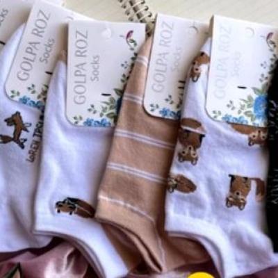 جوراب مچی روباهی در 6 طرح