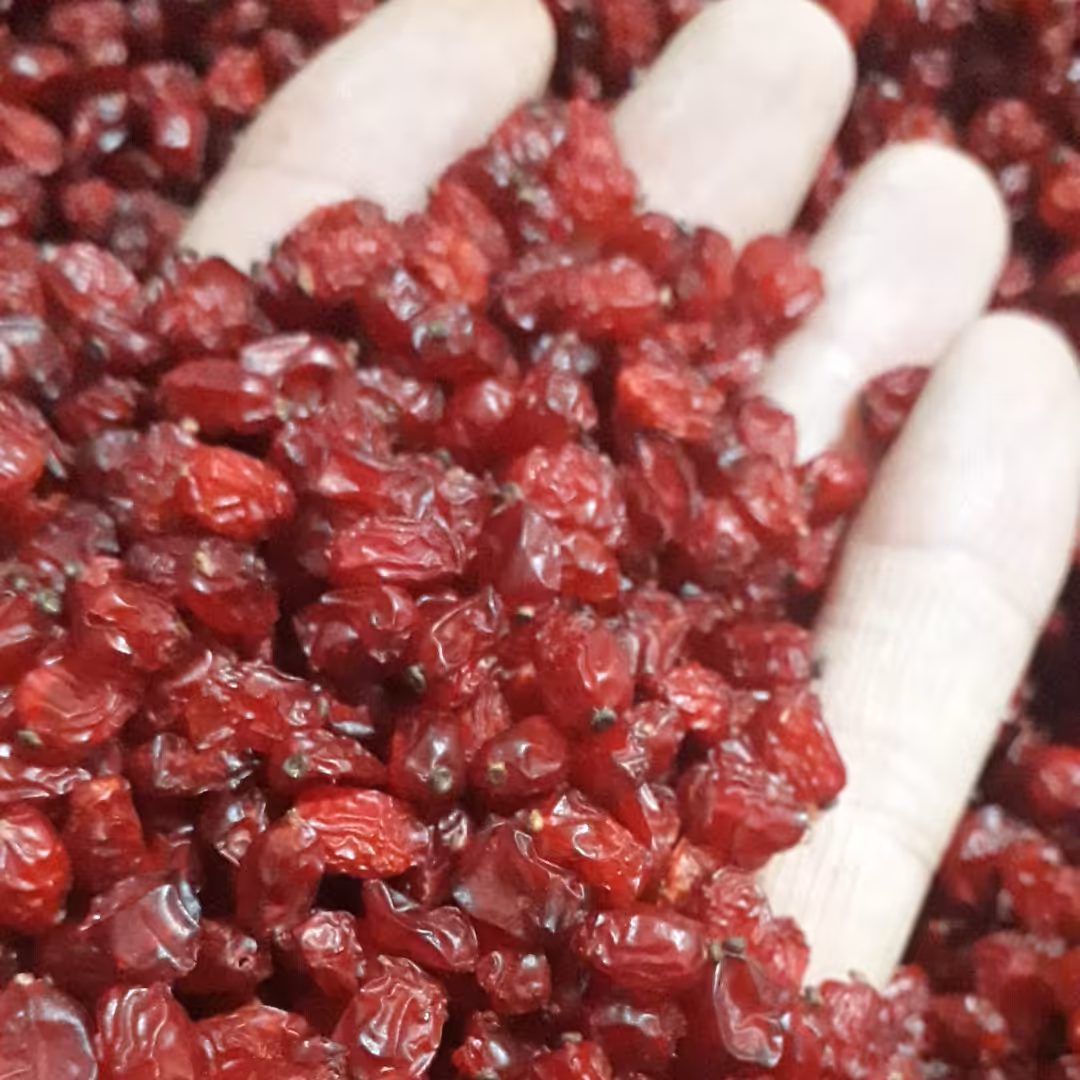 زرشک زیرتالاری ممتاز 