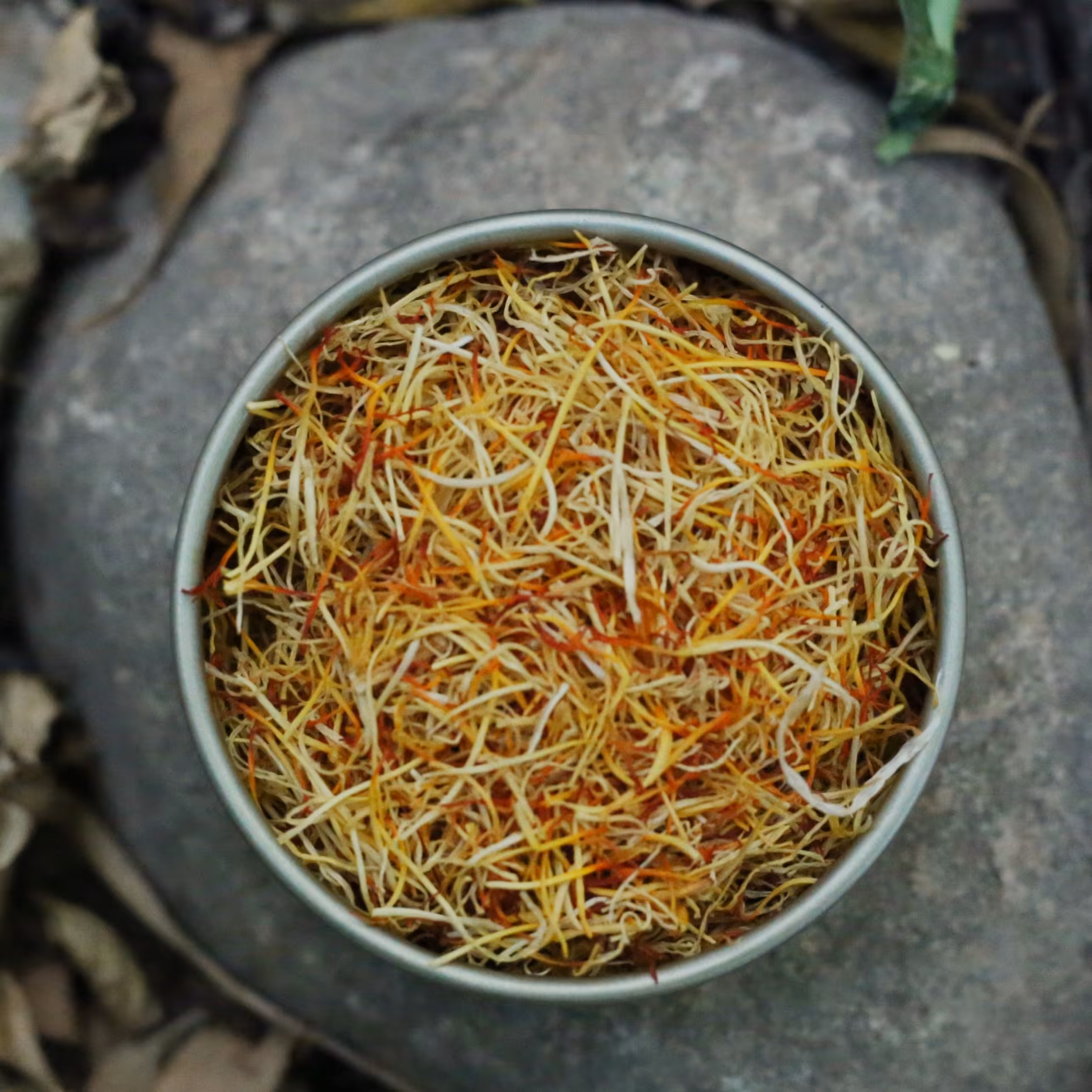 ریشه زعفران یک مثقالی در ظرف فلزی