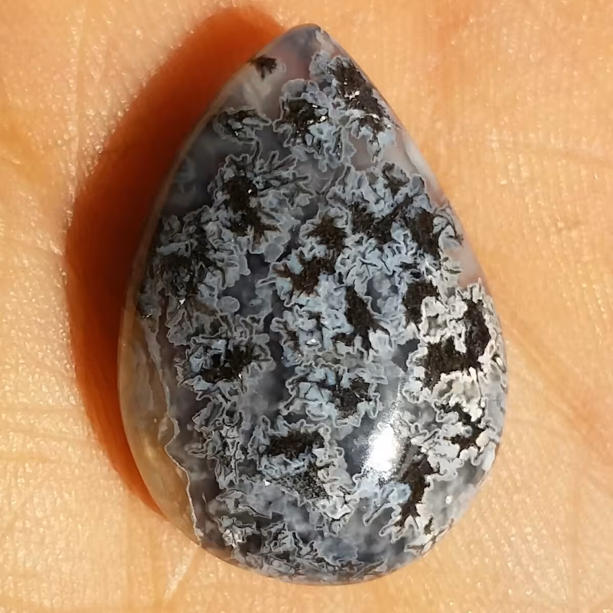 نگین شجر شکوفه
مشکی سفید کمیاب خاص با درخت های واضح
خوش رنگ و بسیار زیبا
خوش تراش
تراش اشک
شااااهکار خلقت طبیعی