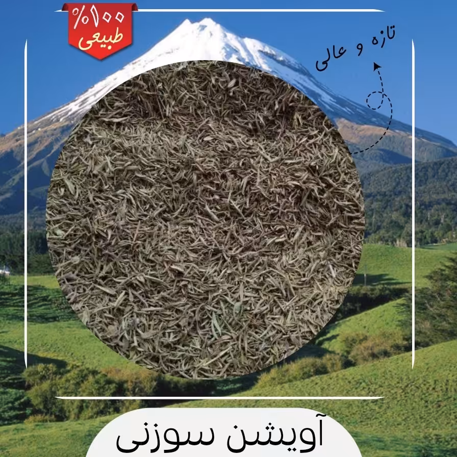 آویشن کوهی سالم و عالی از کوه های دنا