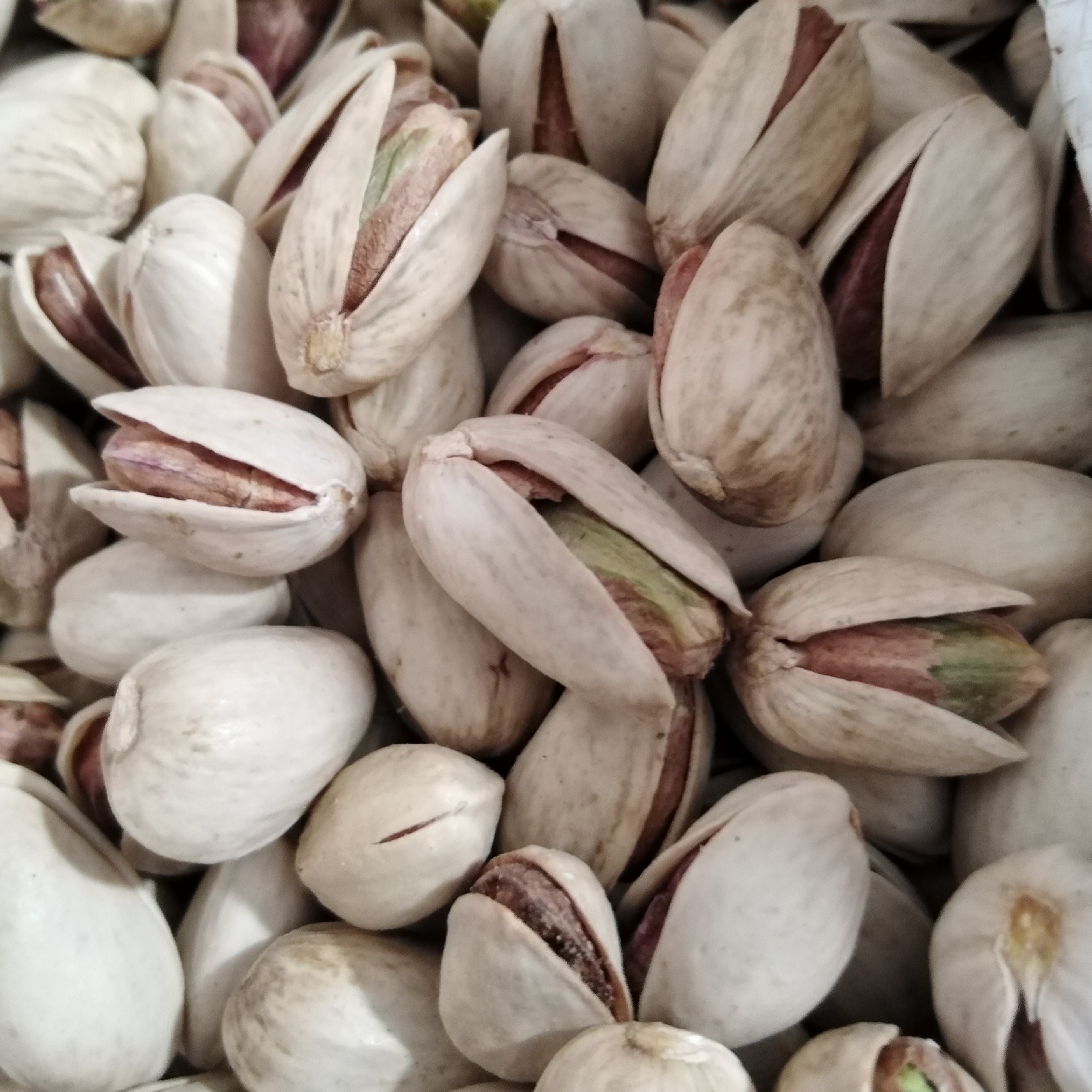 پسته تازه رفسنجان نیم کیلو ، احمدی مزه دار شده و خام بدون کرم خوردگی