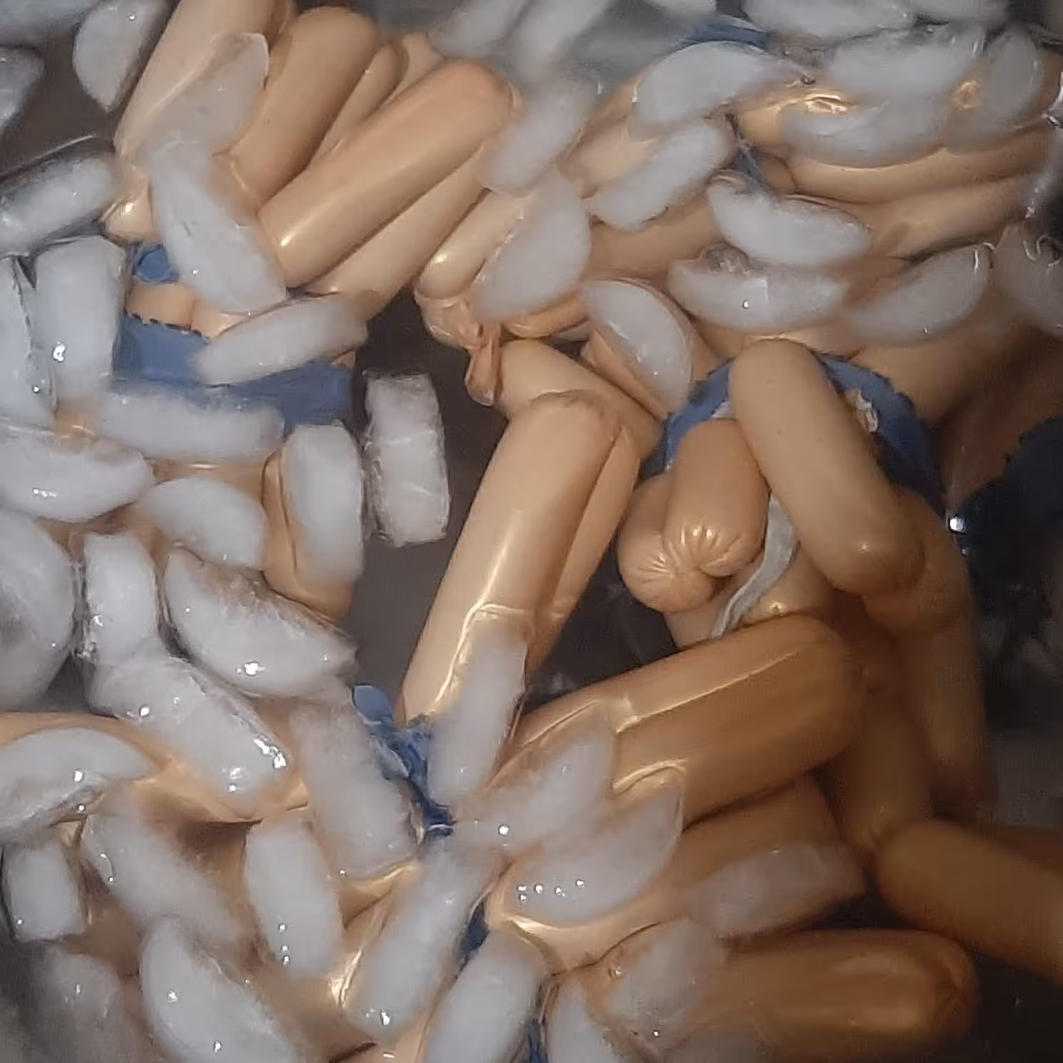 سوسیس کوکتل دودی صددرصد ازگوشت مغزران وسینه مرغ وتخم مرغ تهیه میشود.