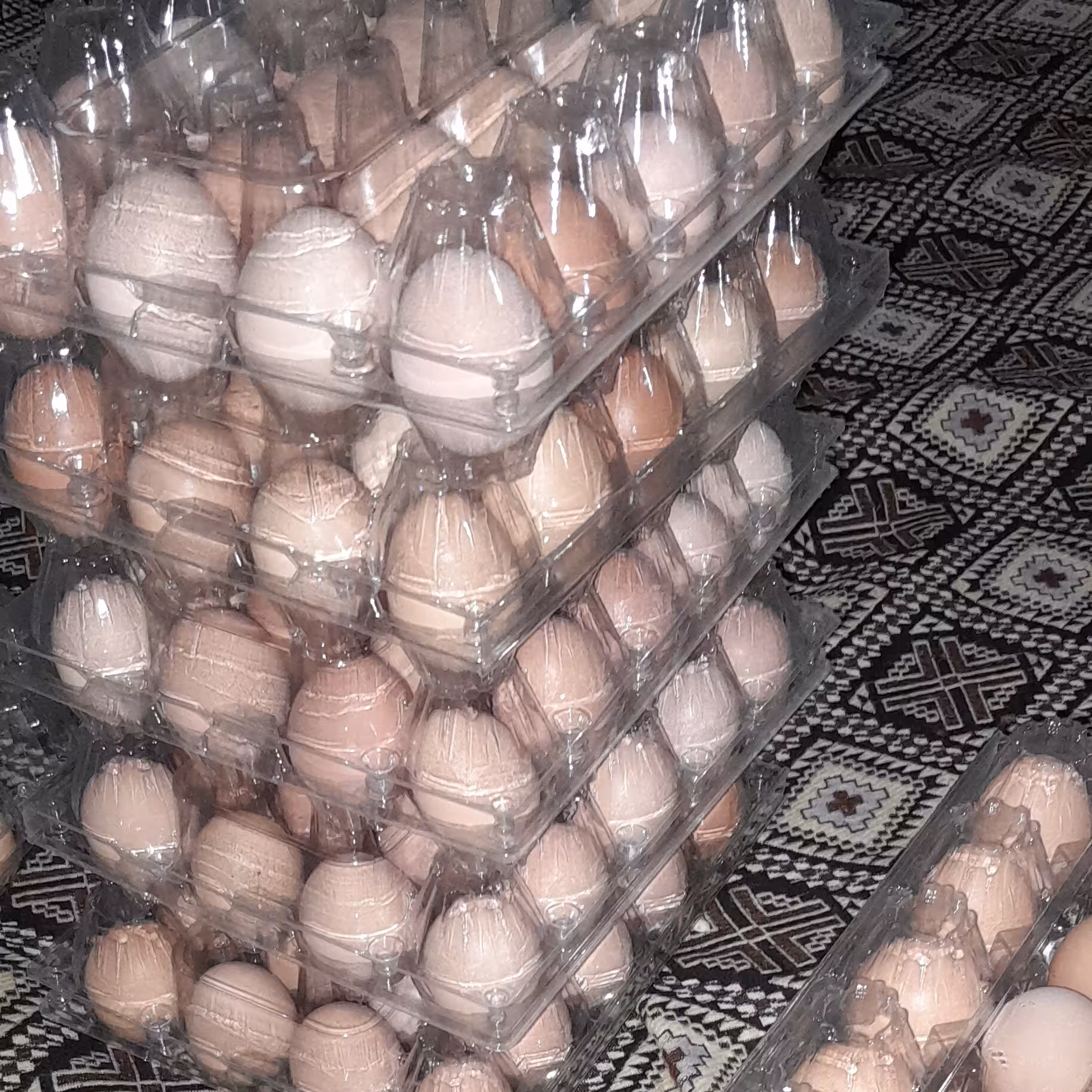 تخم مرغ محلی بسته بندی بهداشتی