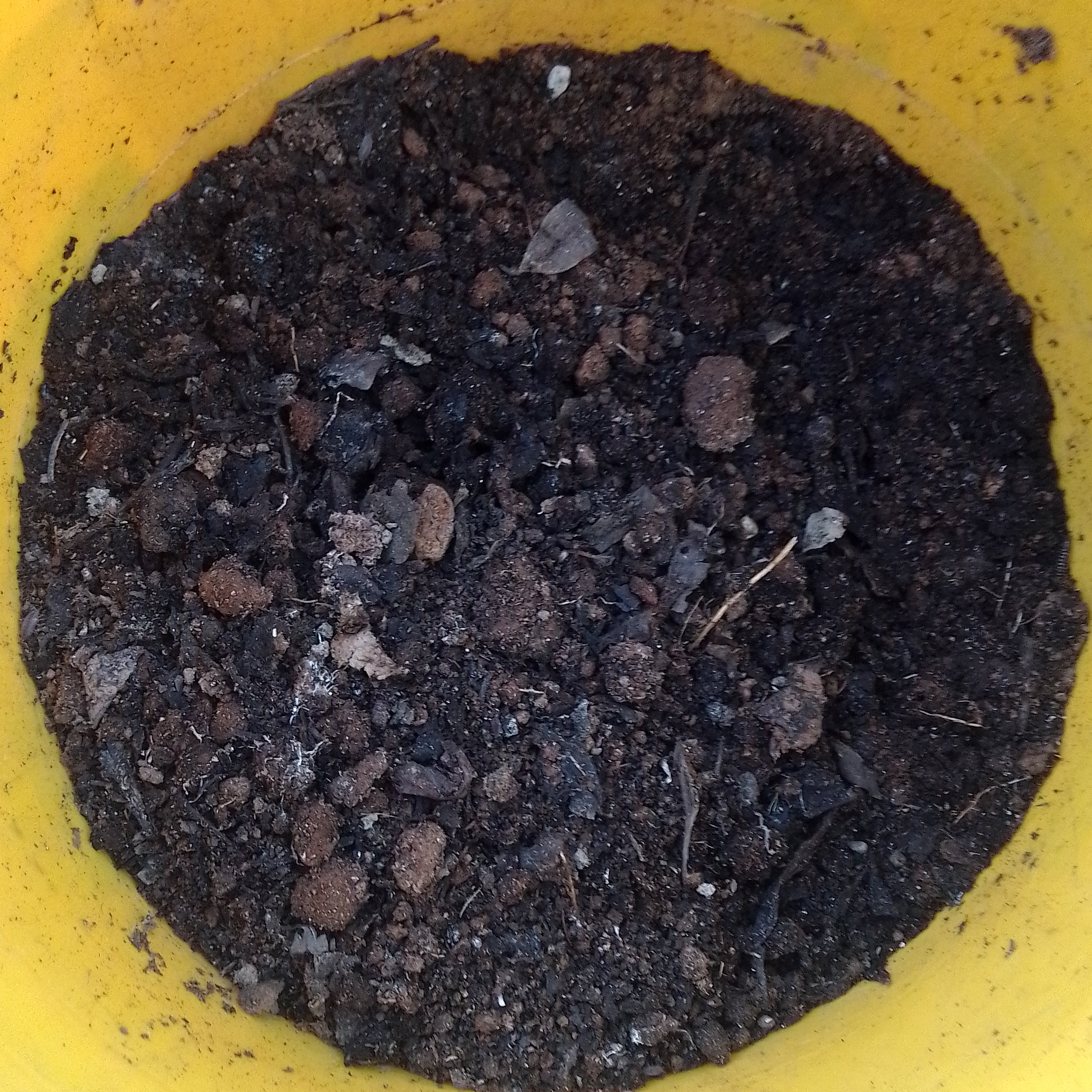 کود منگنز  غنی شده