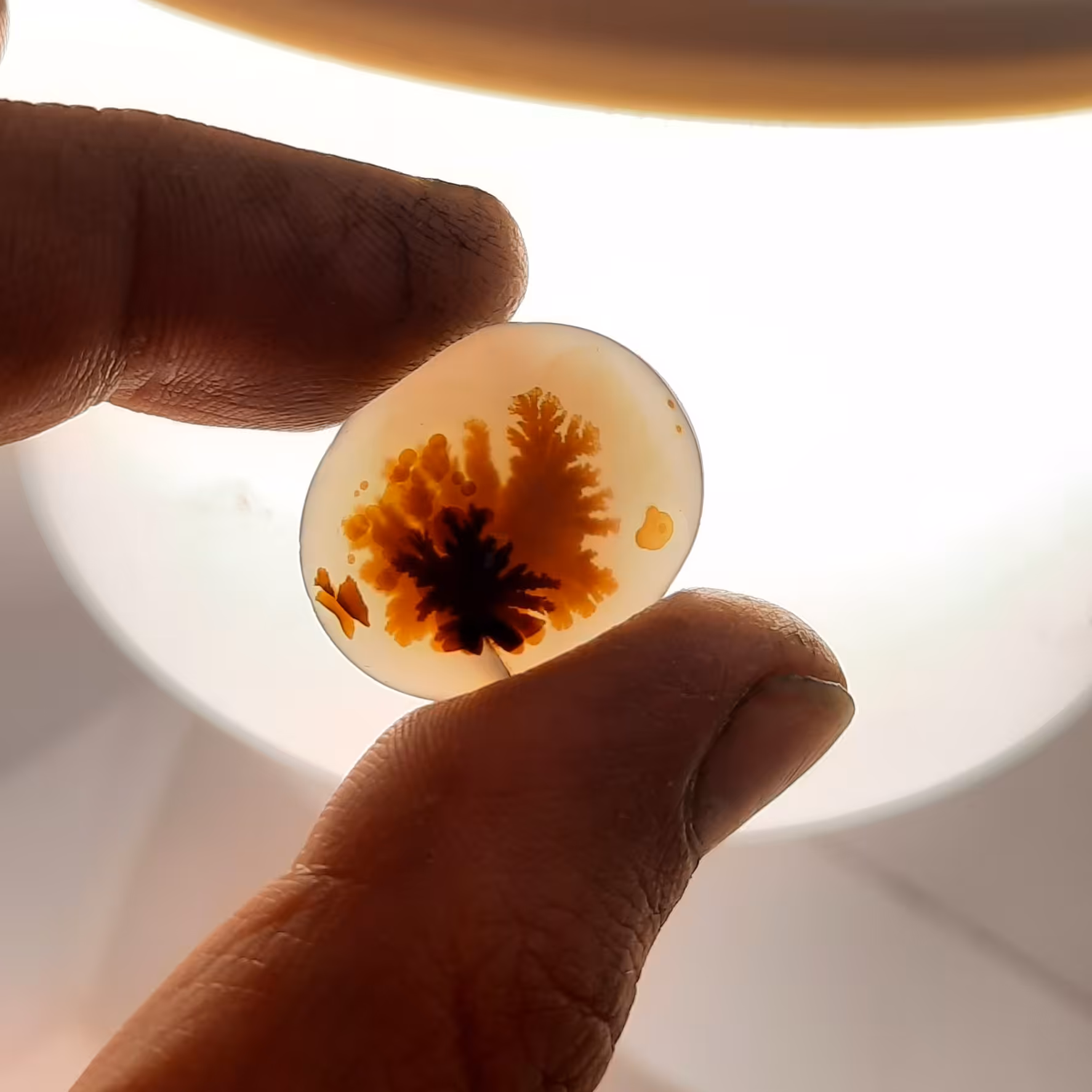 نگین انگشتر یا گردنبند عقیق شجر اصل قائن سنگ معدنی هستش 