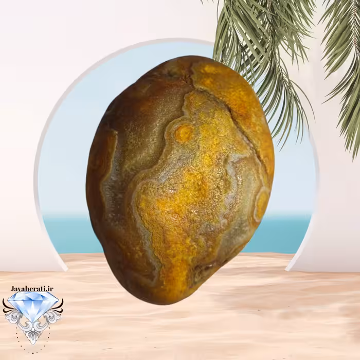 راف عقیق سلطانی لامه دار خوش طبع و ارزشمند 