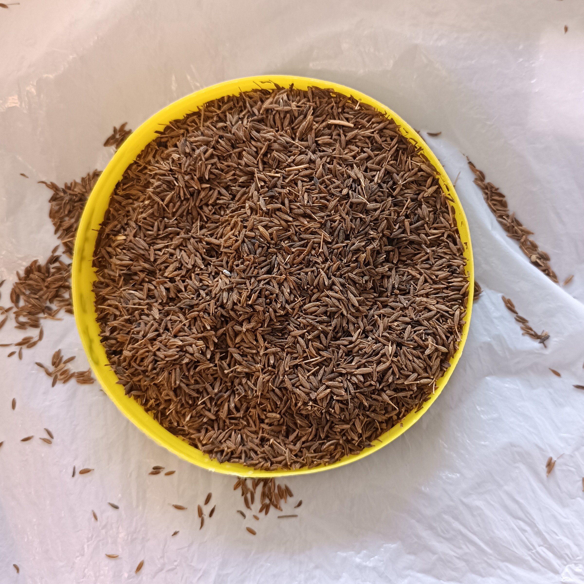 زیره کرمانی(سیاه) اعلی، 100 گرمی