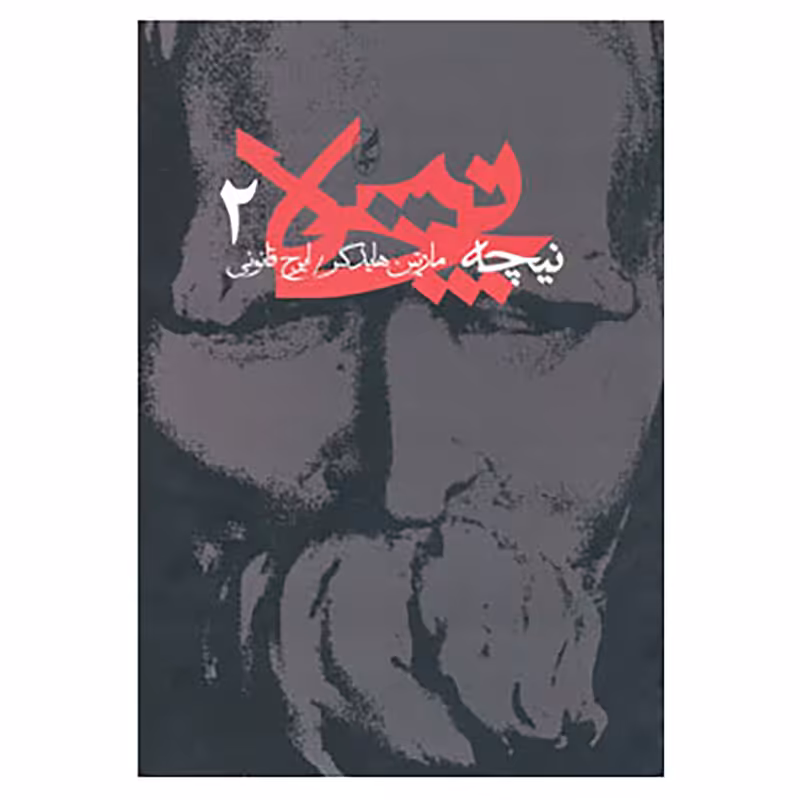 کتاب نیچه 2 اثر مارتین هایدگر