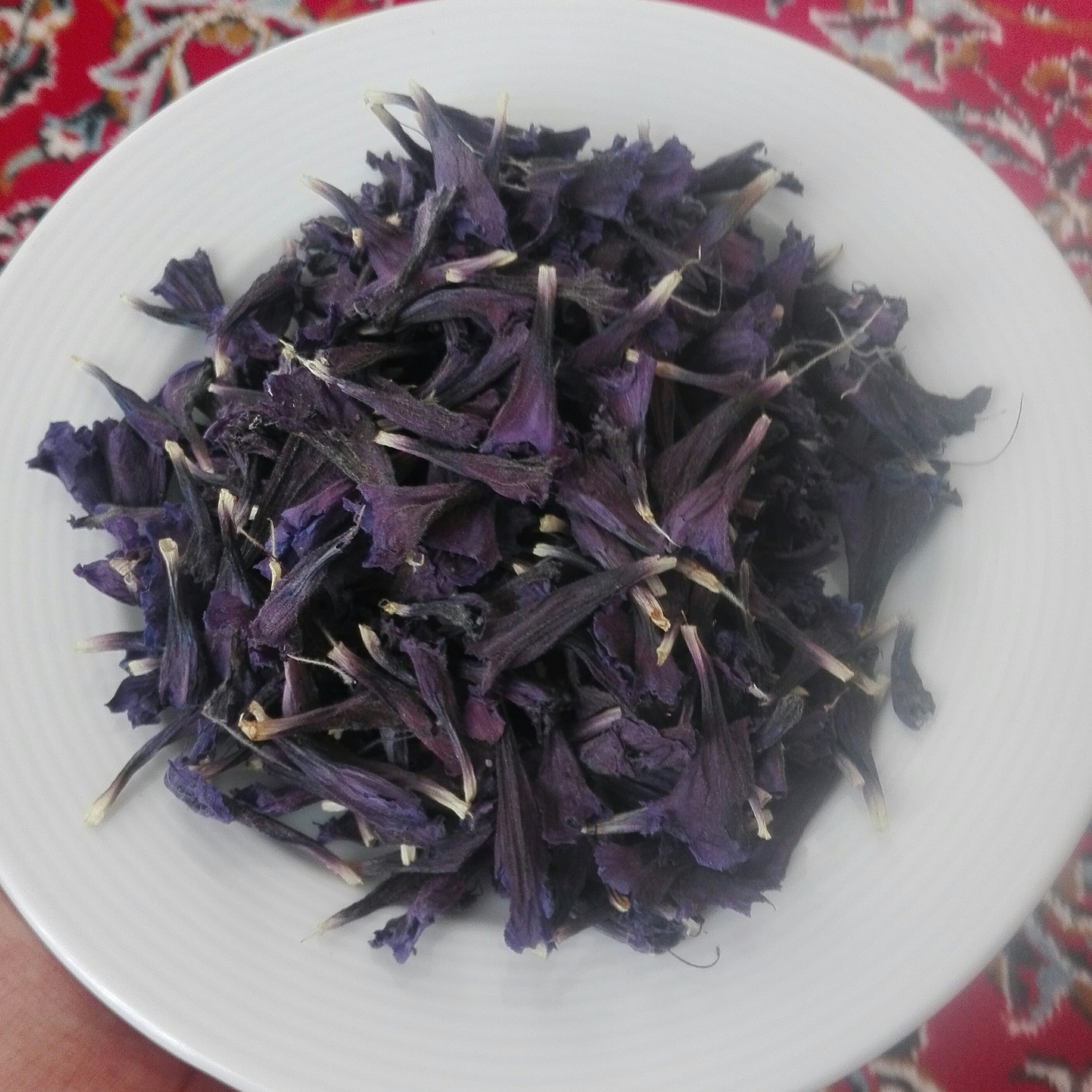 گل گاوزبان