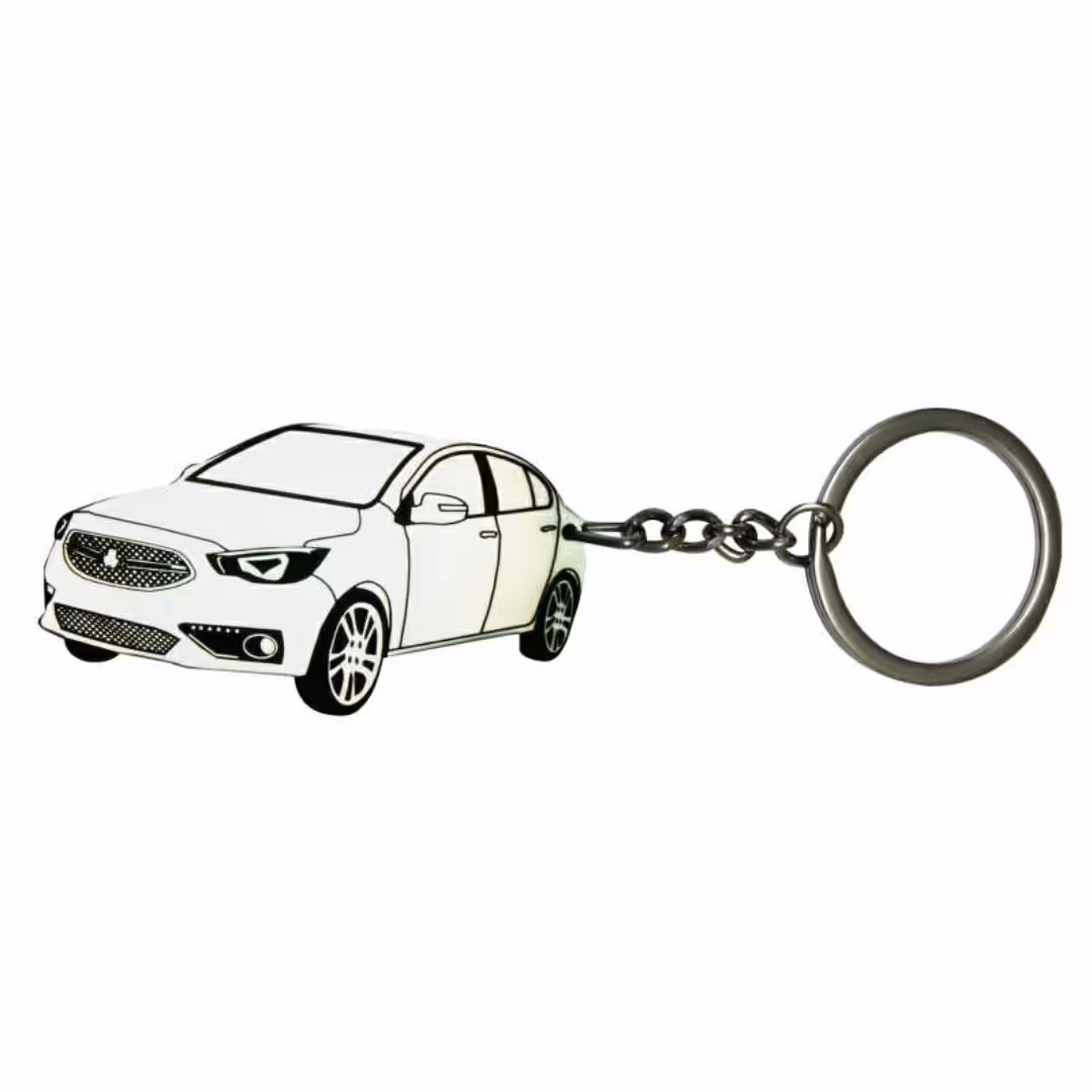 جاسوئیچی ماشین شاهین