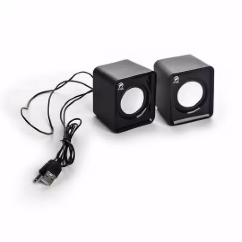 اسپیکر دکستاپ پی نت مدل V-310