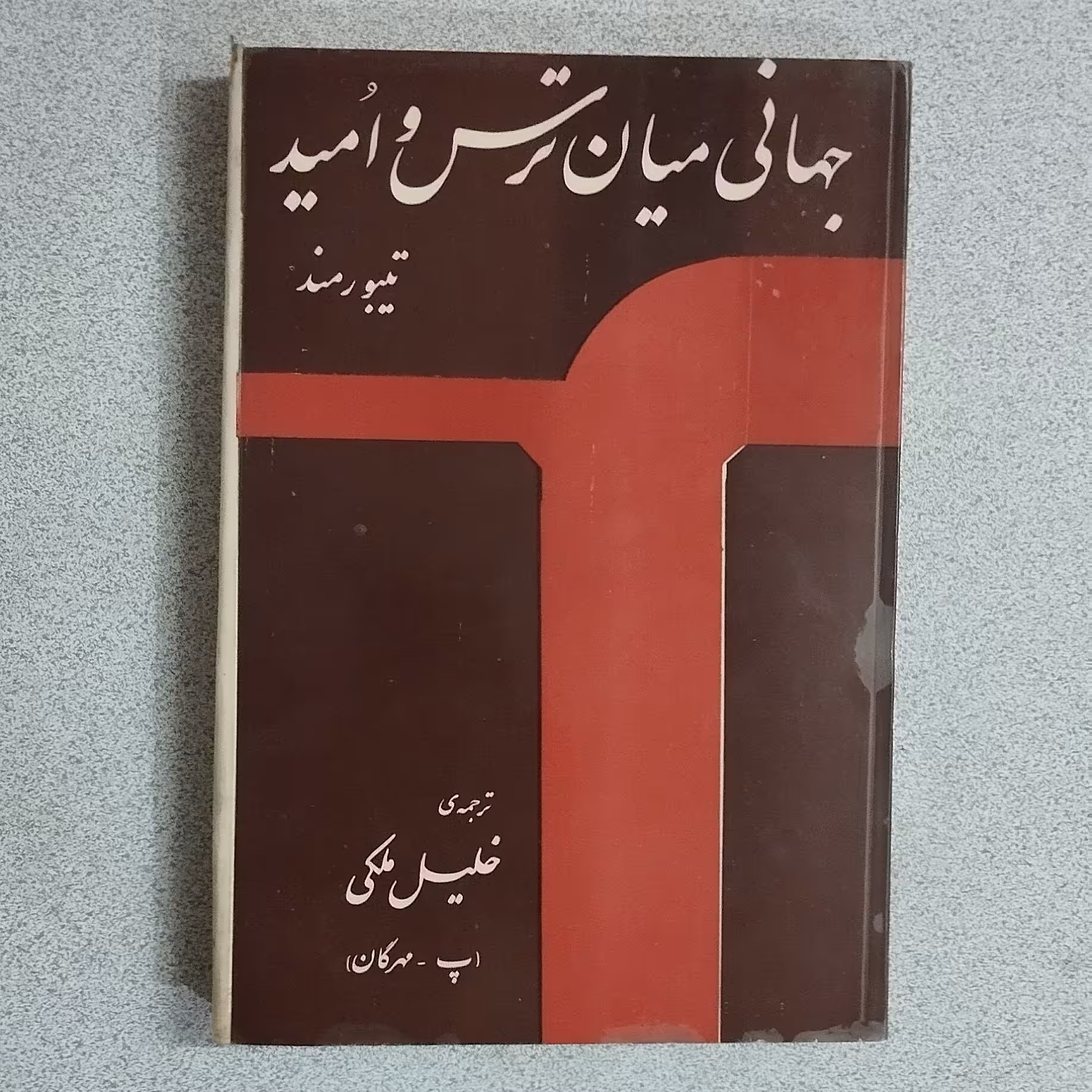 کتاب جهانی میان ترس و امید اثر تیبو رمند