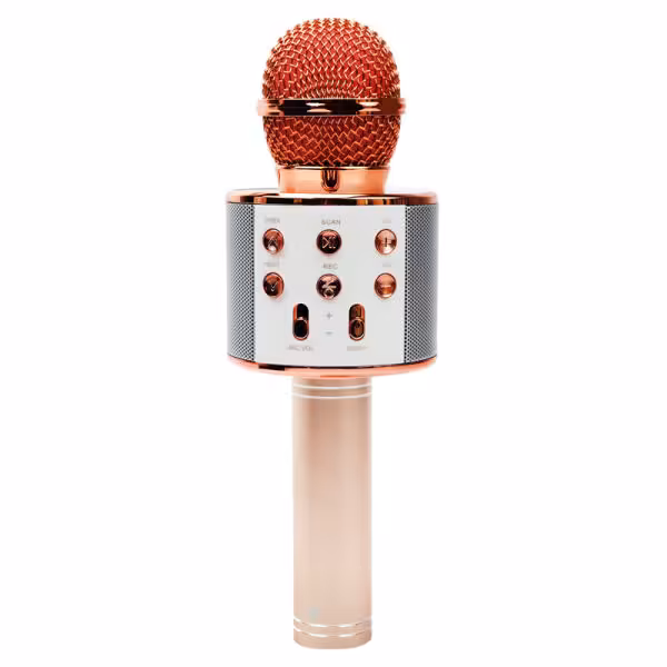 میکروفون اسپیکر پرووان مدل PMB65