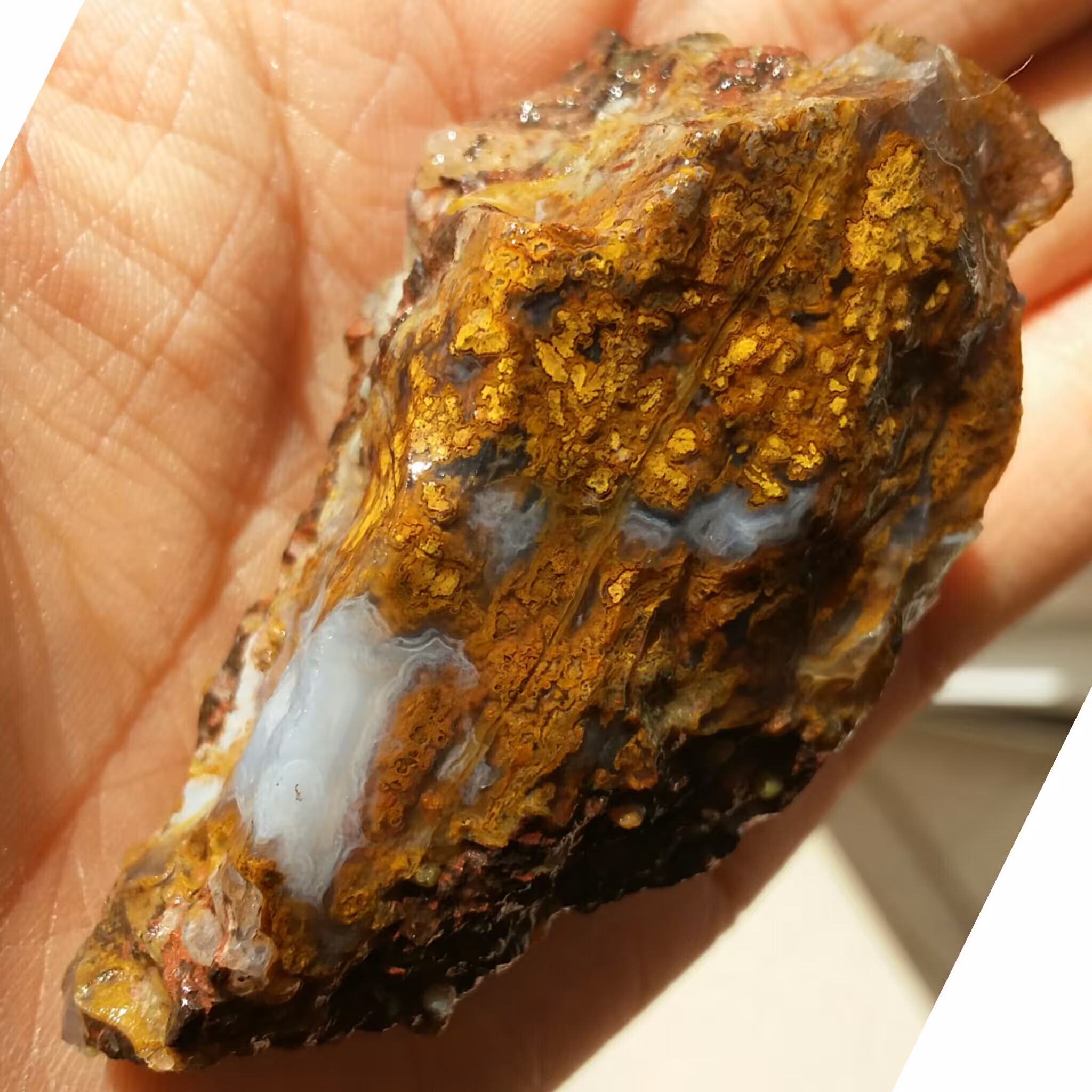 سنگ راف شجر پاییزی منظره محشر شاهکارر خلقت دیدنیییی کااملا طبیعی
تابلو نقاشی طبیعیی
