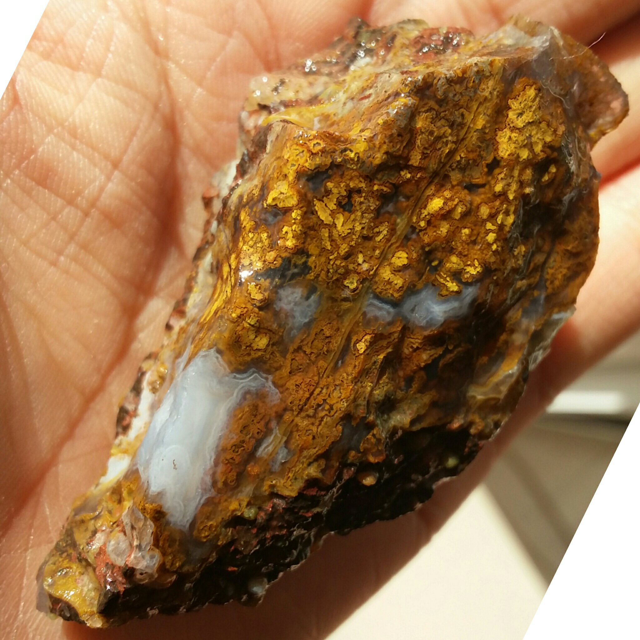 سنگ راف شجر پاییزی منظره محشر شاهکارر خلقت دیدنیییی کااملا طبیعی
تابلو نقاشی طبیعیی
