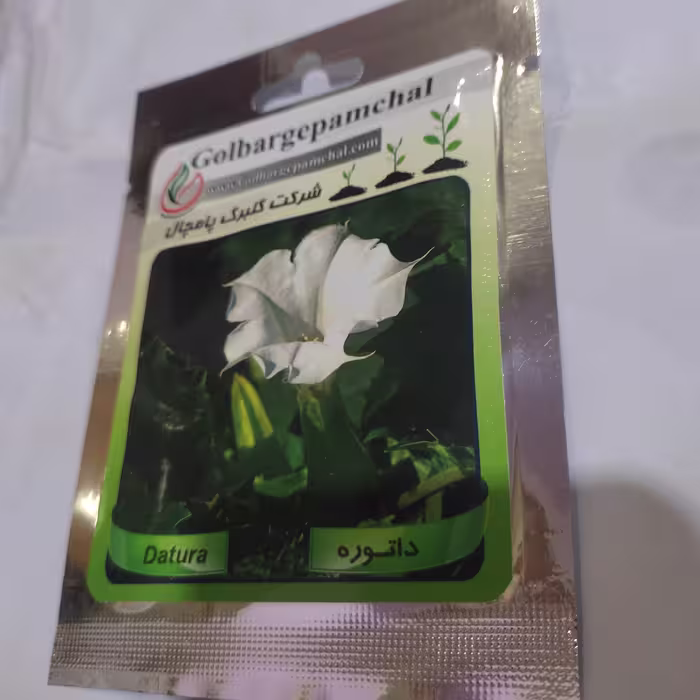 بذر گل داتوره سفید شرکتی 