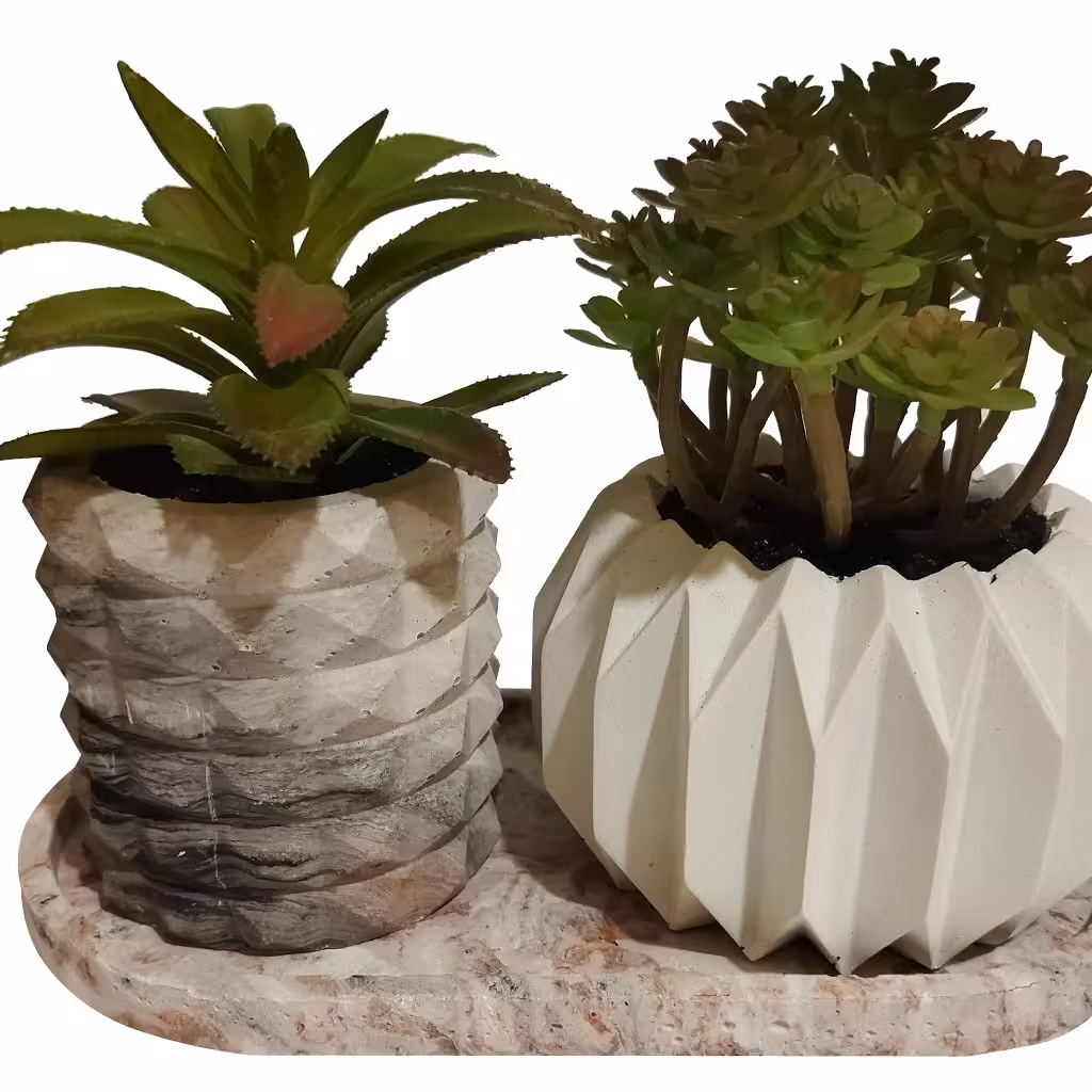 گلدان کاکتوس بتنی 2 تایی کد 21407
