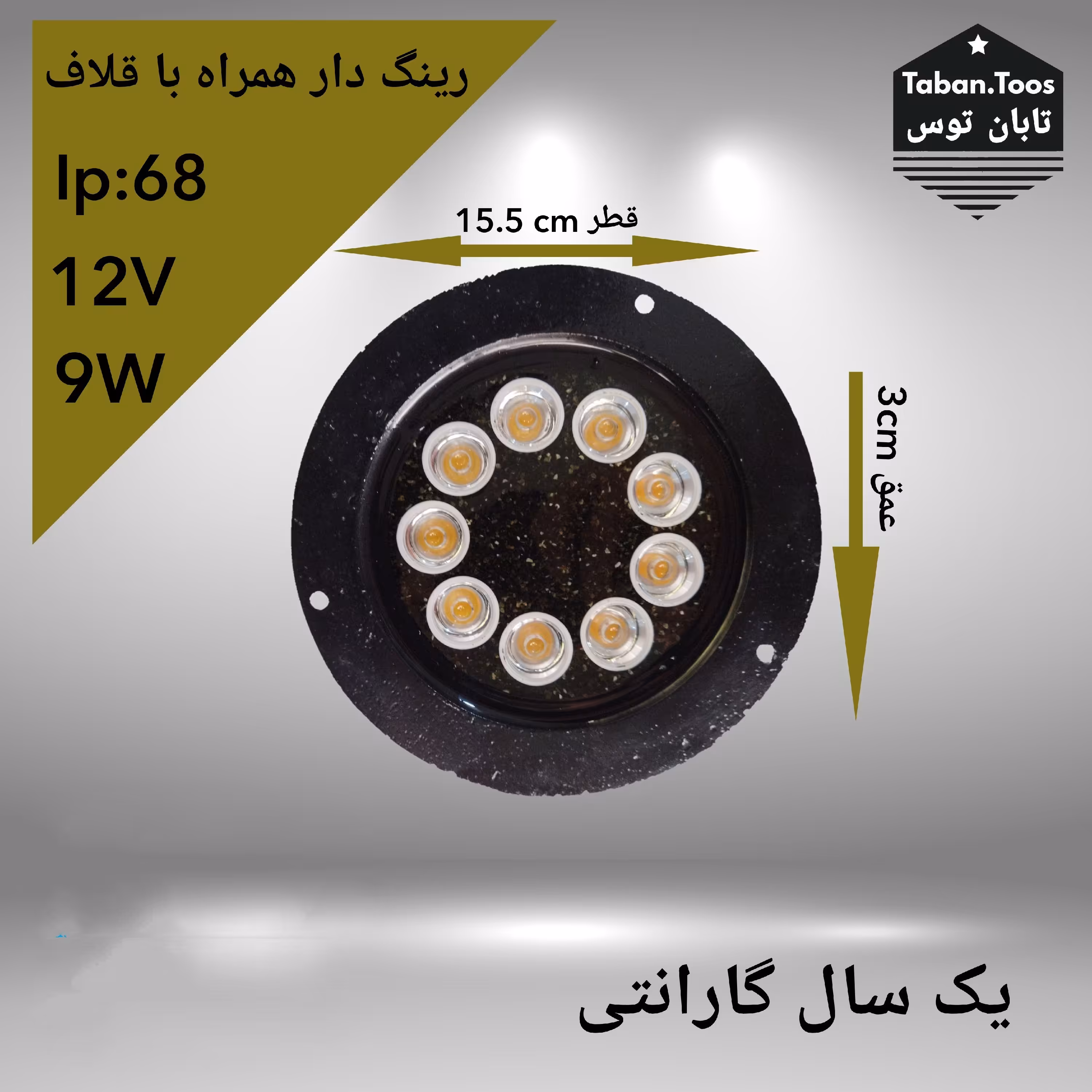 چراغ رینگ دار استخری 9 وات 12 ولت