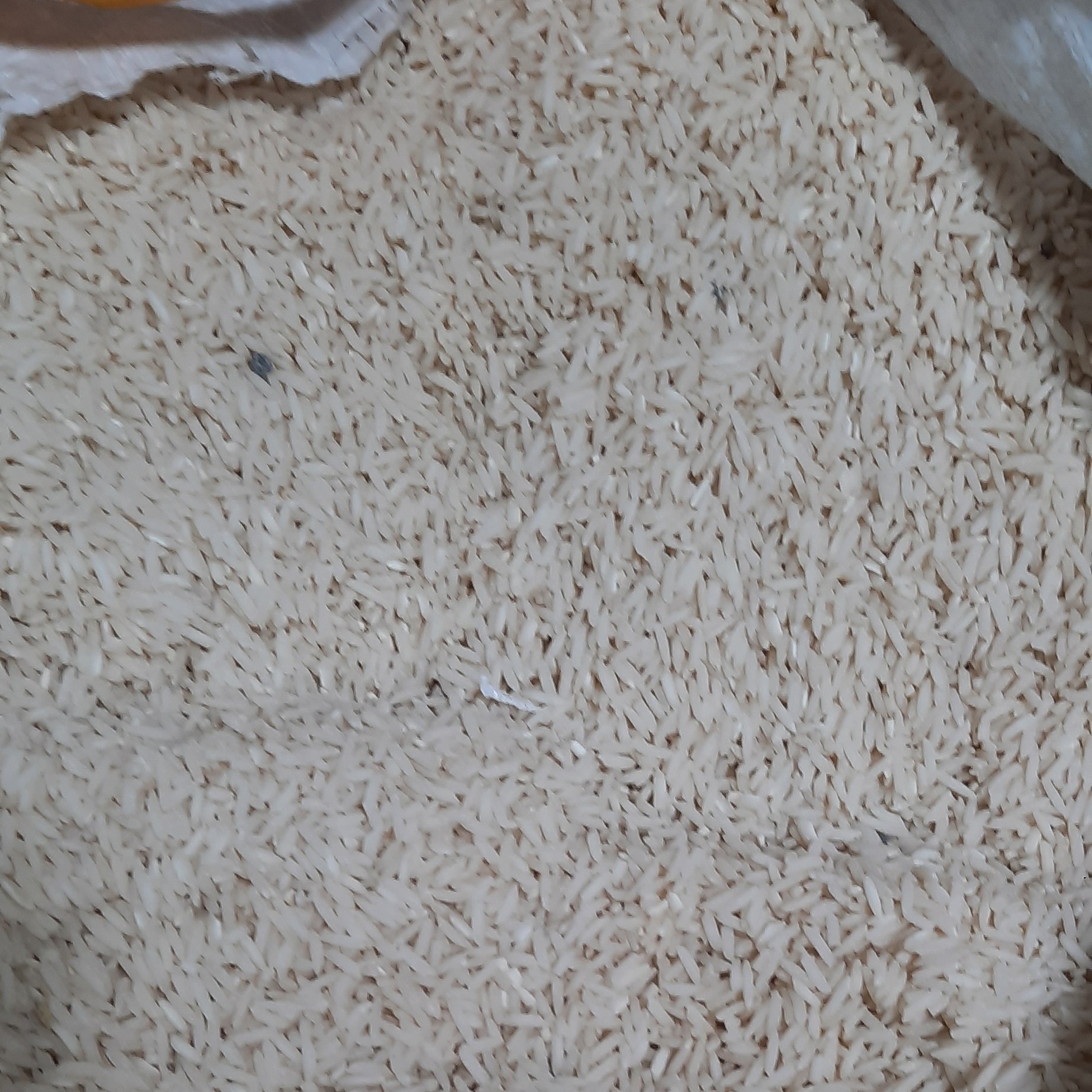 برنج هاشمی گیلان اعلاء (50 کیلوگرم)