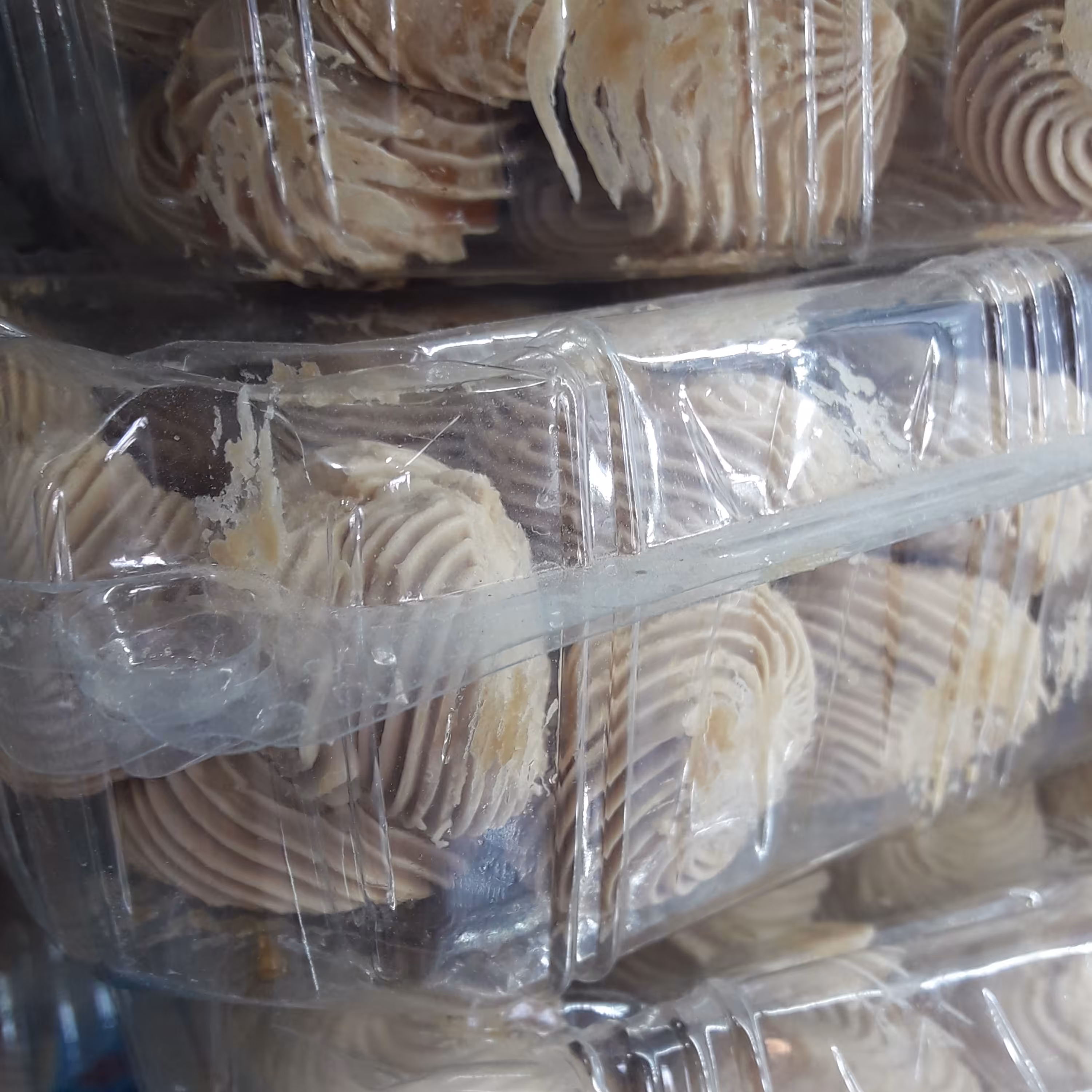 قره قوروت شتر 