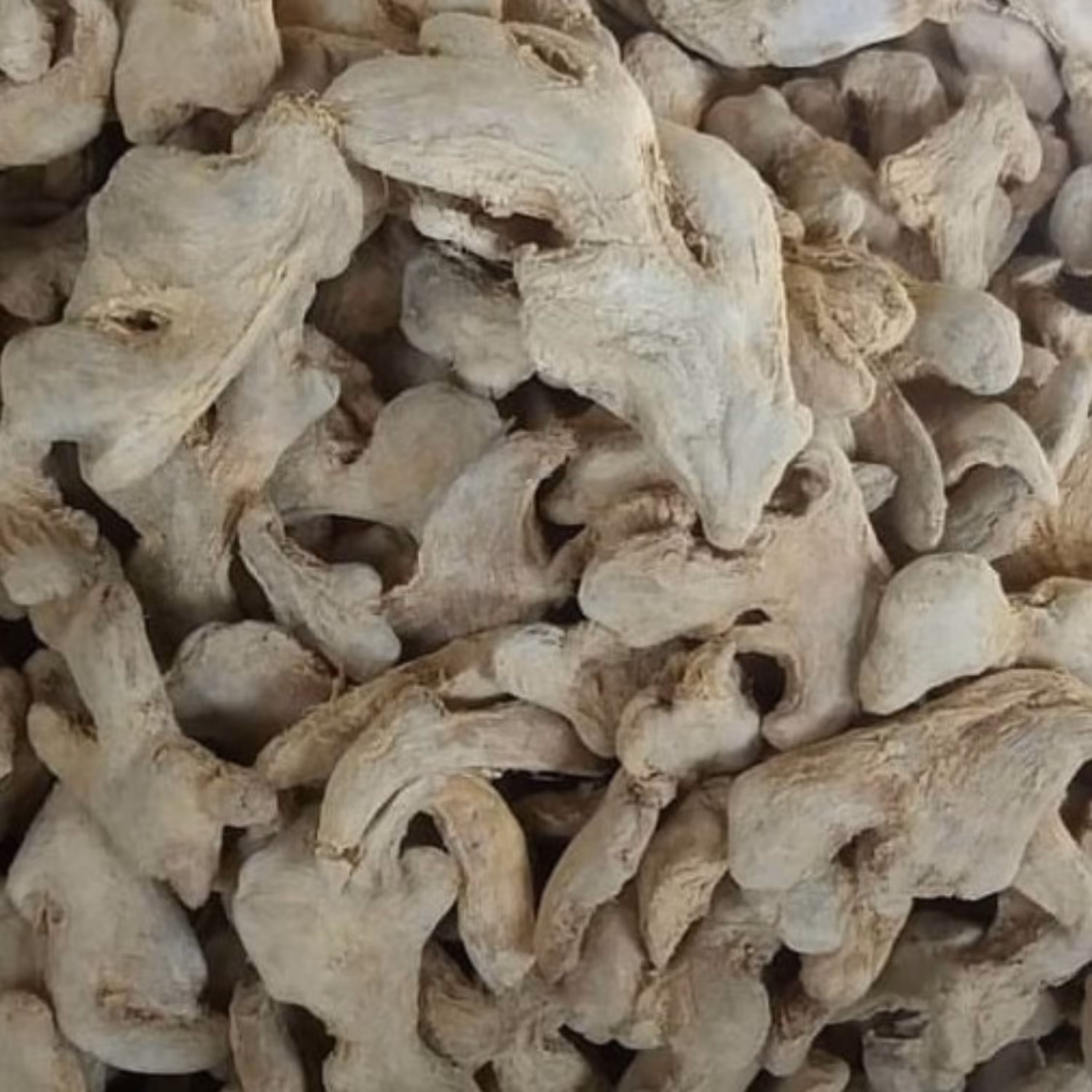 زنجفیل قلم چینی خشک اعلا (200گرم)