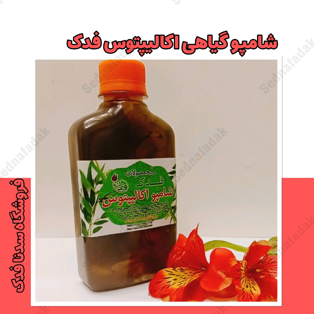 شامپو اکالیپتوس