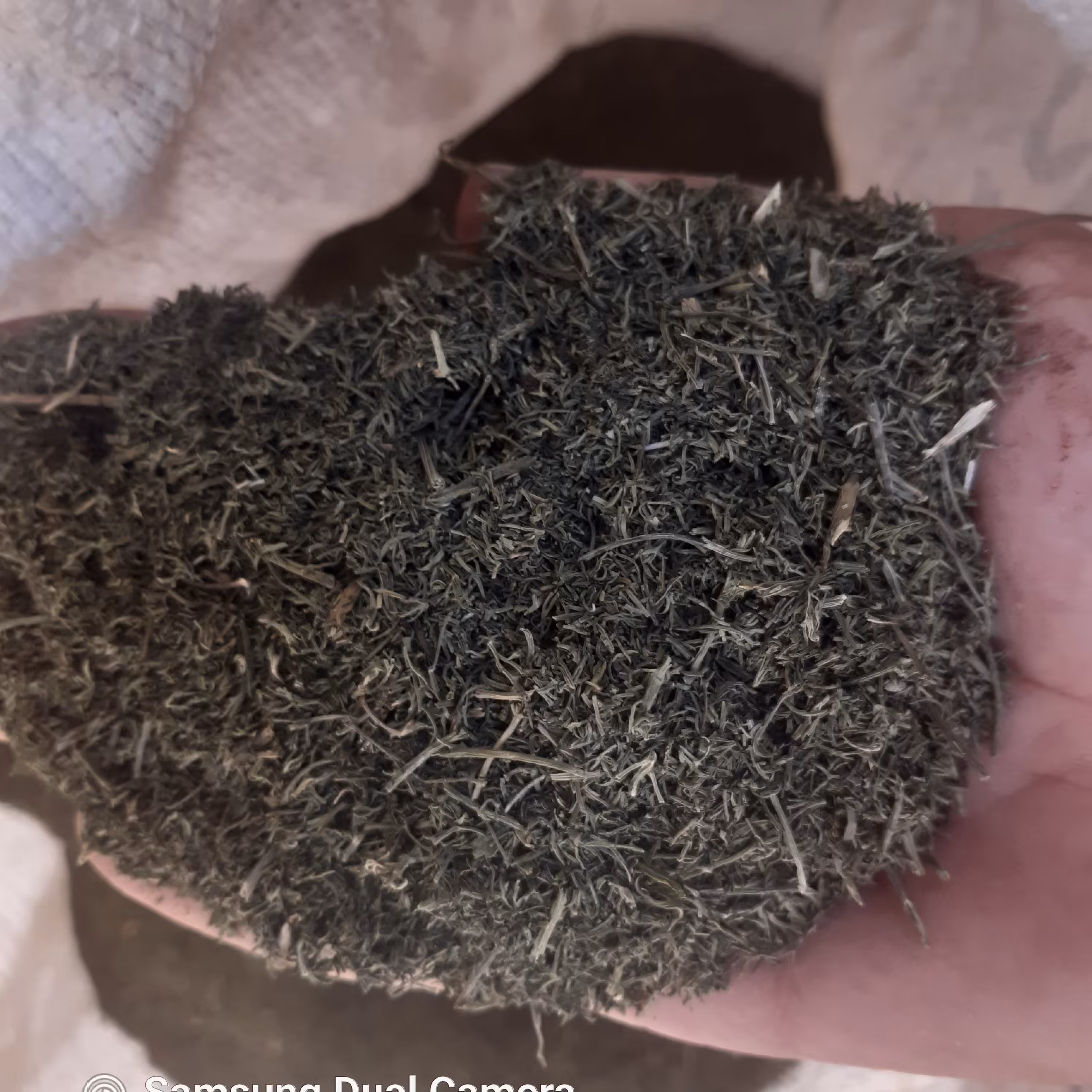 شوید بلغور (1کیلویی)