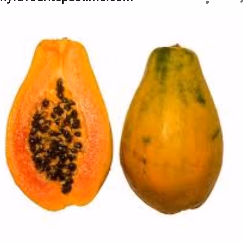 بذر میوه پاپایا(خربزه درختی) بسته بندی 5 عددی