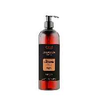 شامپو مو مخصوص موهای فر مدل ARGABETA CURLY ELASTICIZING دیکسون 500 میل