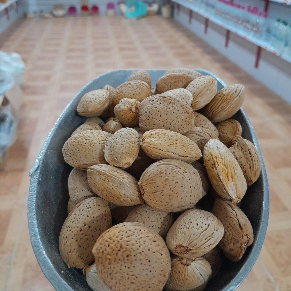 بادام درختی درشت و توپر خوش طعم اکثرا دوقلو