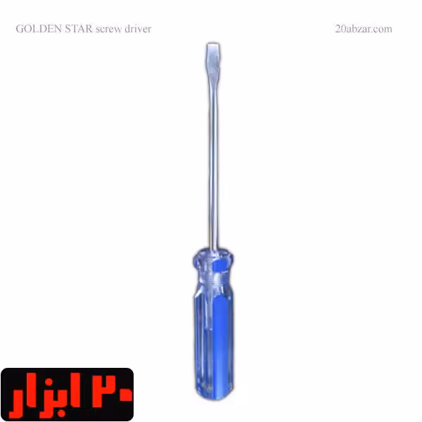 پیچ گوشتی دوسو 100×6