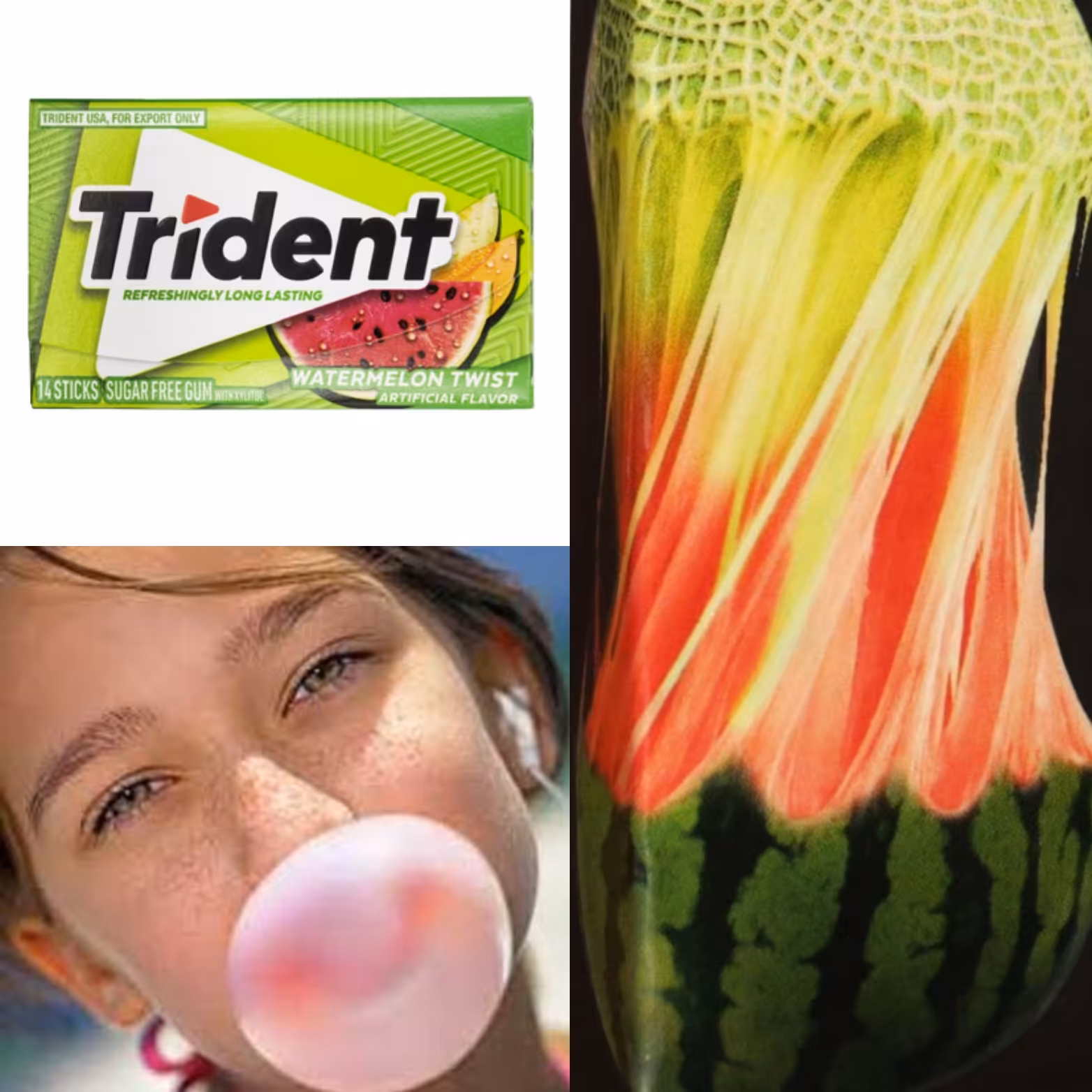 آدامس تریدنت هندوانه بسته 12عددی اصل(امریکا)