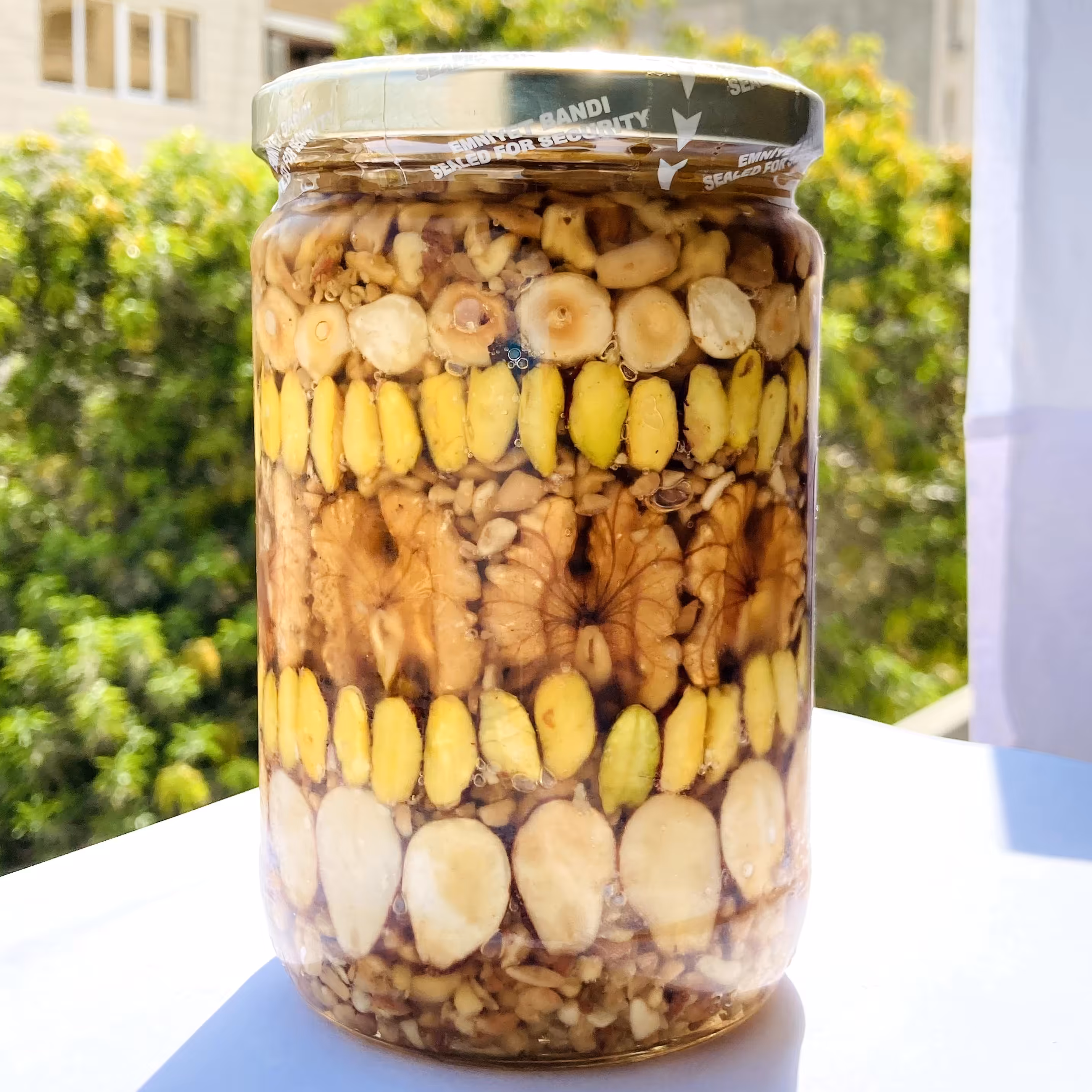 معجون تقویتی چند مغز میگا گلوری اصل 740 گرم