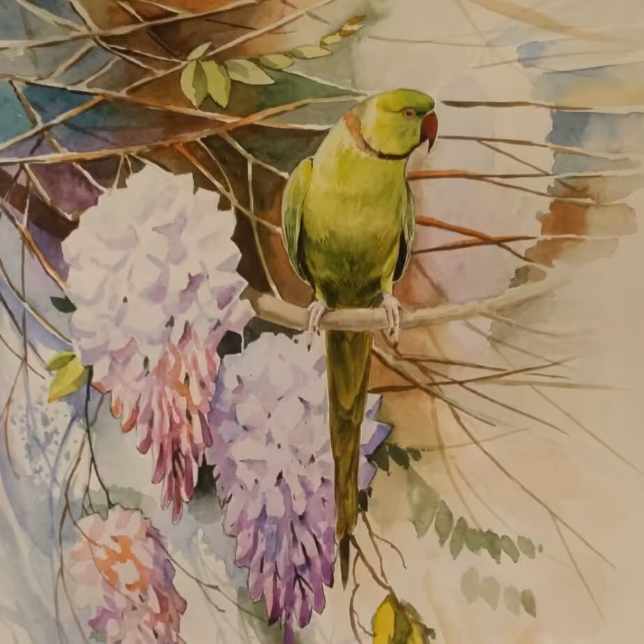 نقاشی آبرنگ طوطی