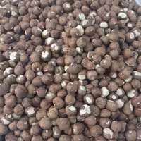 مغز فندق   خام 250 گرمی ممتاز  (تضمین کیفیت)