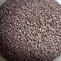 اسپرسو  100 روبستا